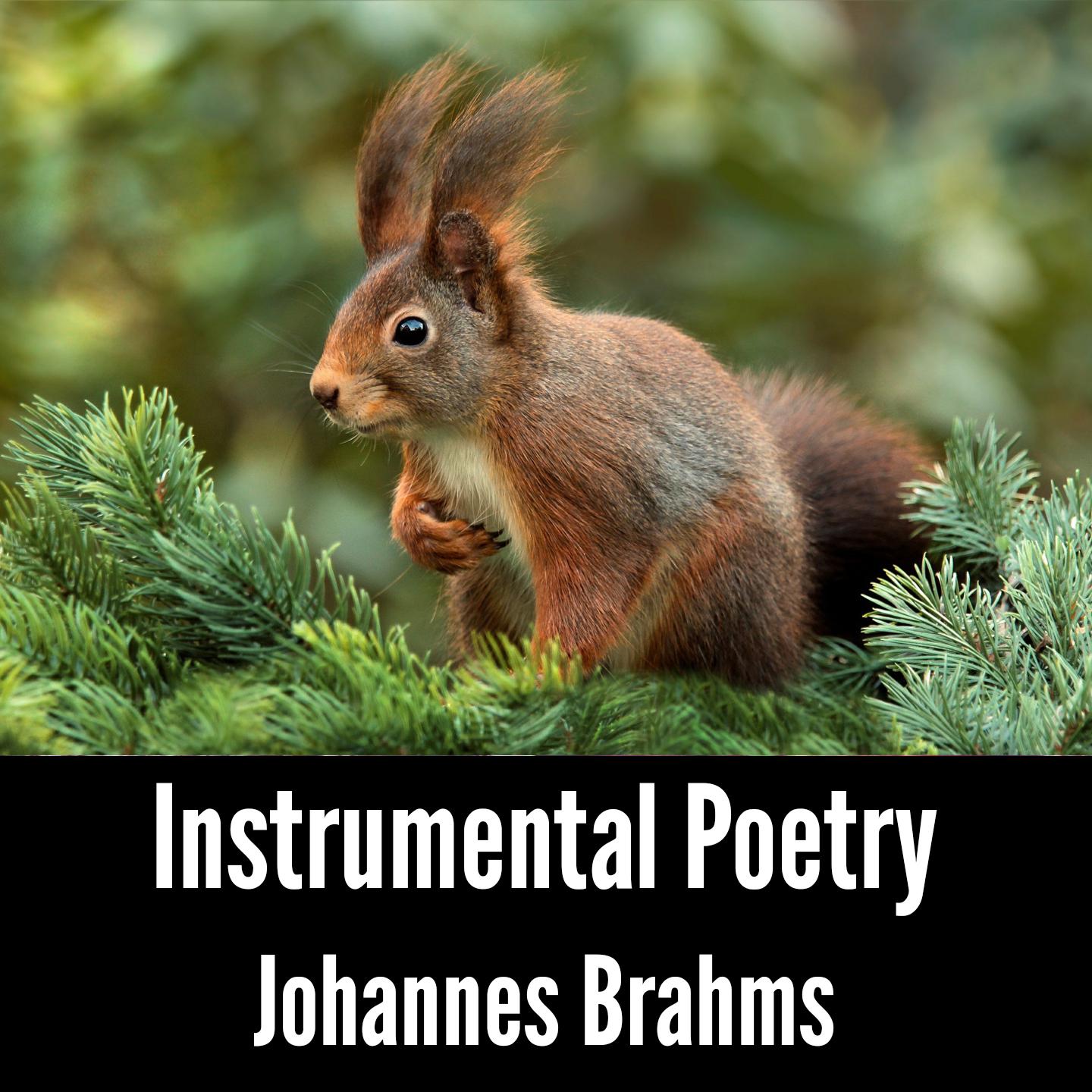 Instrumental Poetry: Johannes Brahms