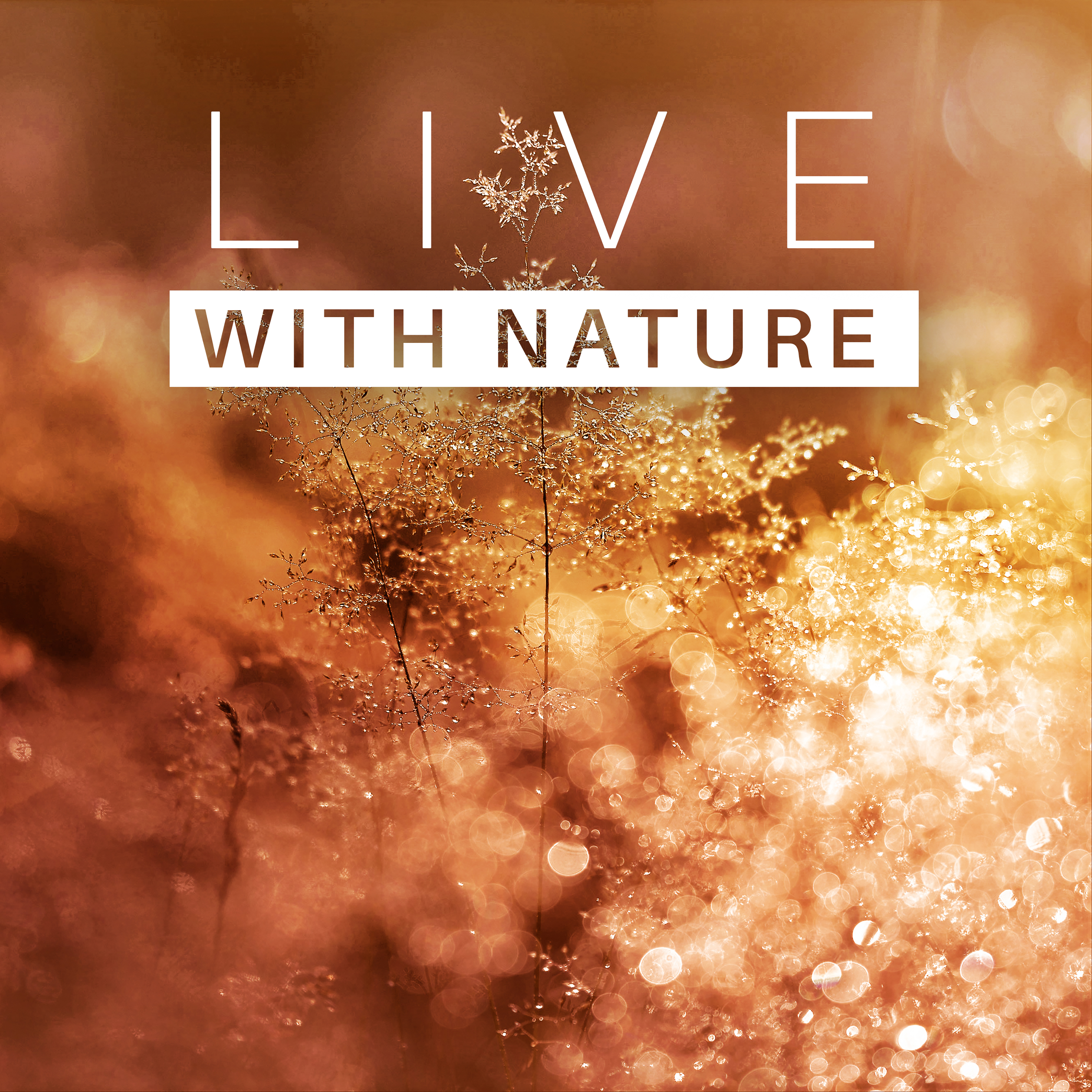 Live with Nature  Peaceful Music for Relaxation, Stress Free, Mind Power, Nature Sounds to Calm Down, Relaxing Waves