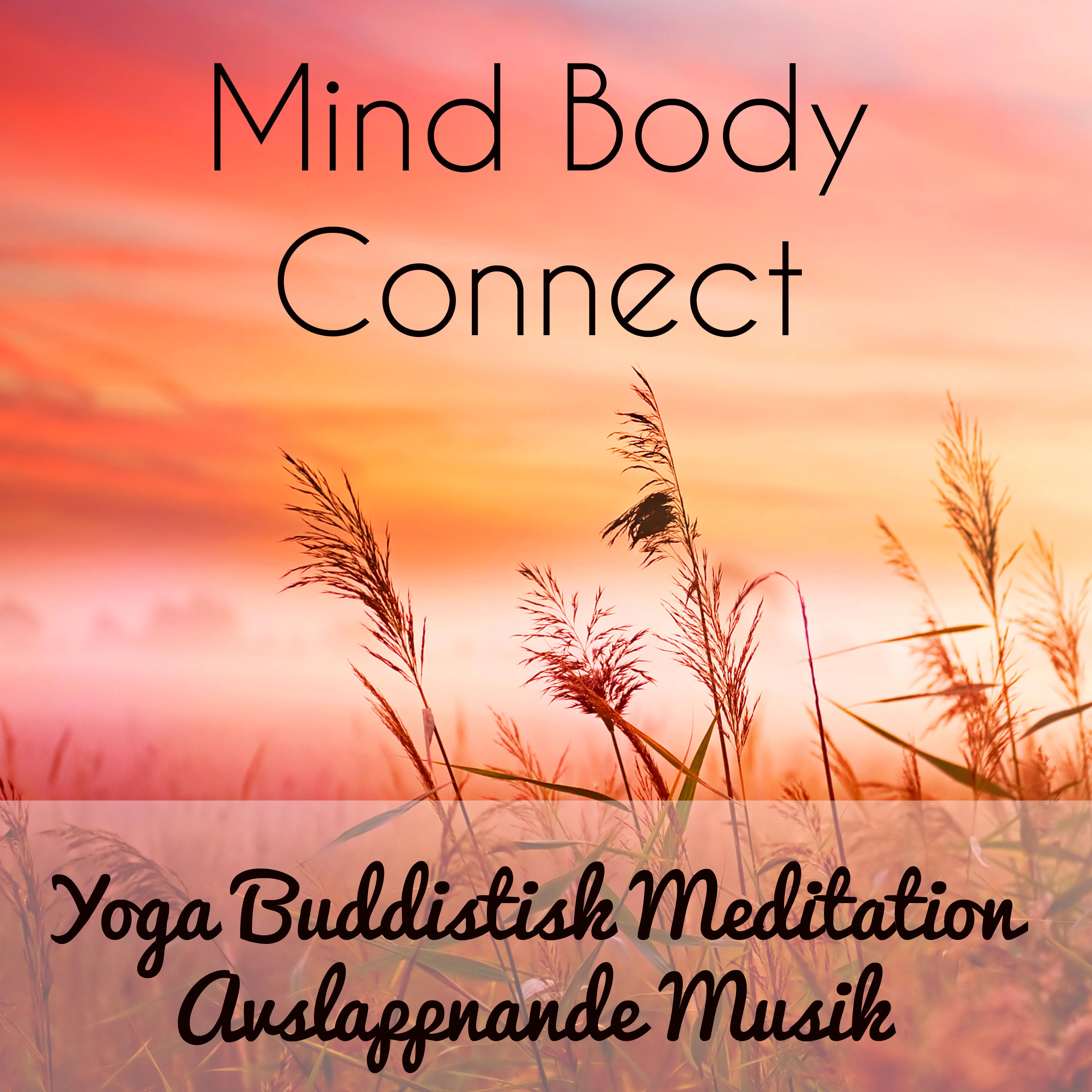 Mind Body Connect  Yoga Buddistisk Meditation Avslappnande Musik f r Chakra Alignment Ljudterapi Klardr mmar