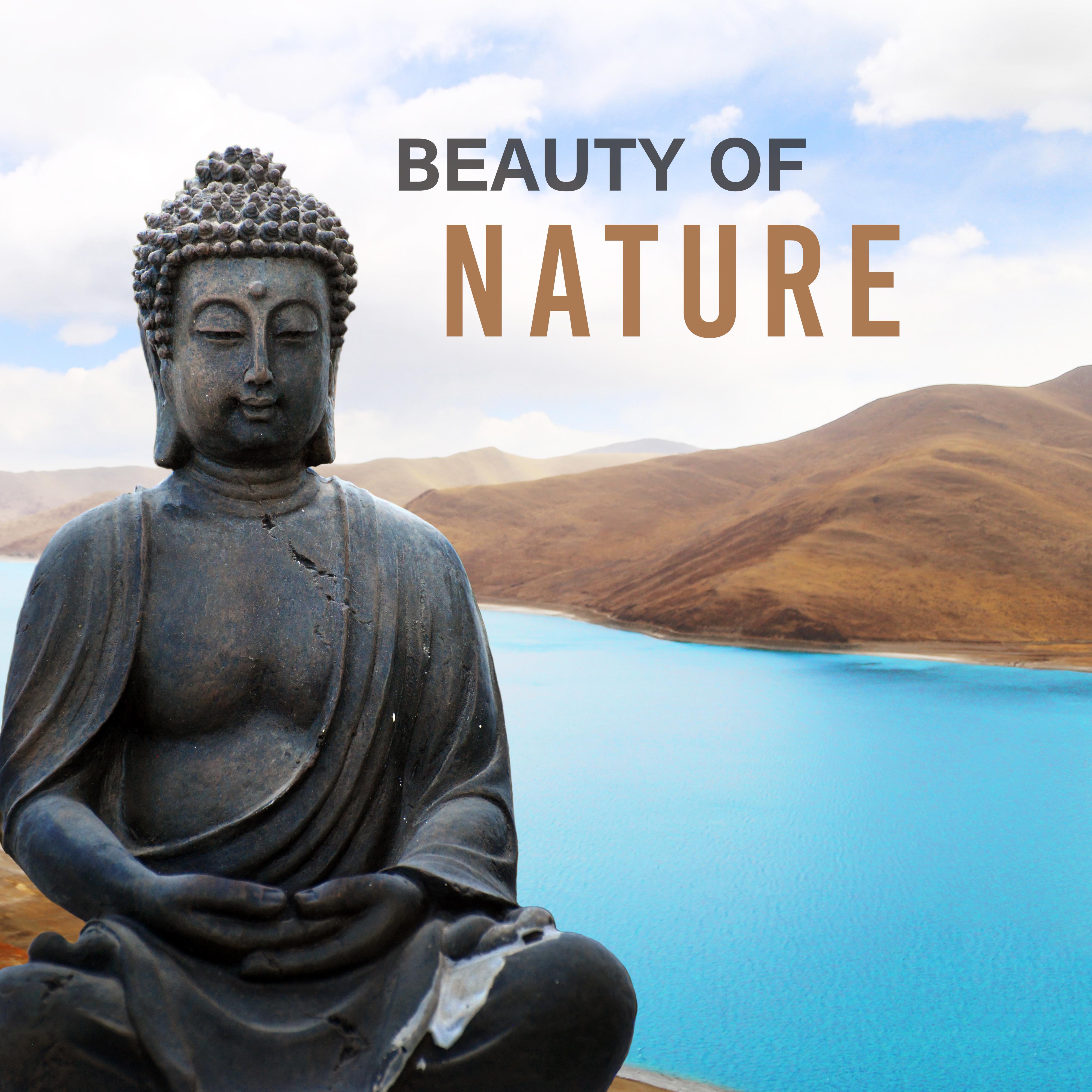 Beauty of Nature  Meditation Music, Nature Sounds, Stress Relief, Zen, Relaxation Music, Training Yoga, Tranquility  Harmony