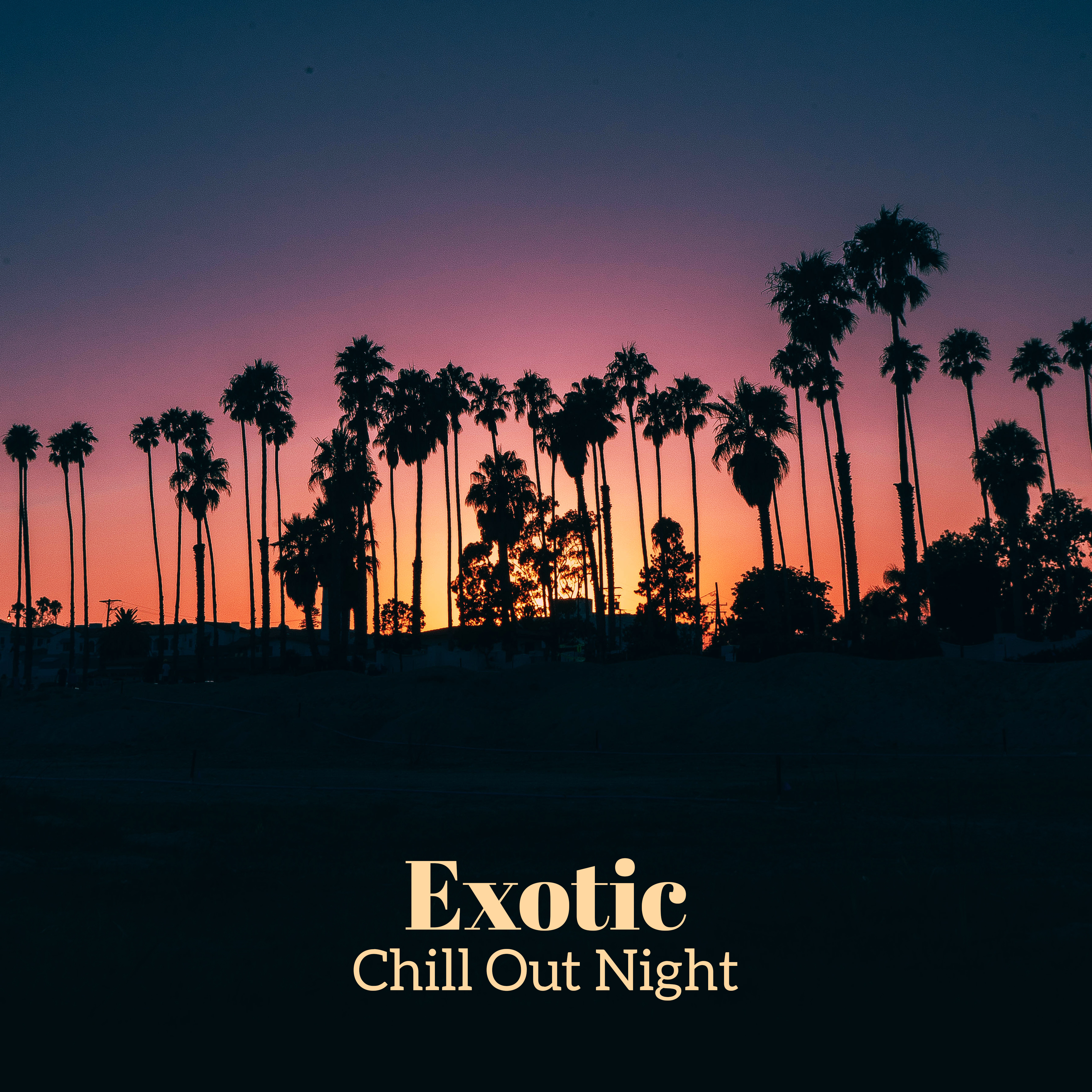 Exotic Chill Out Night
