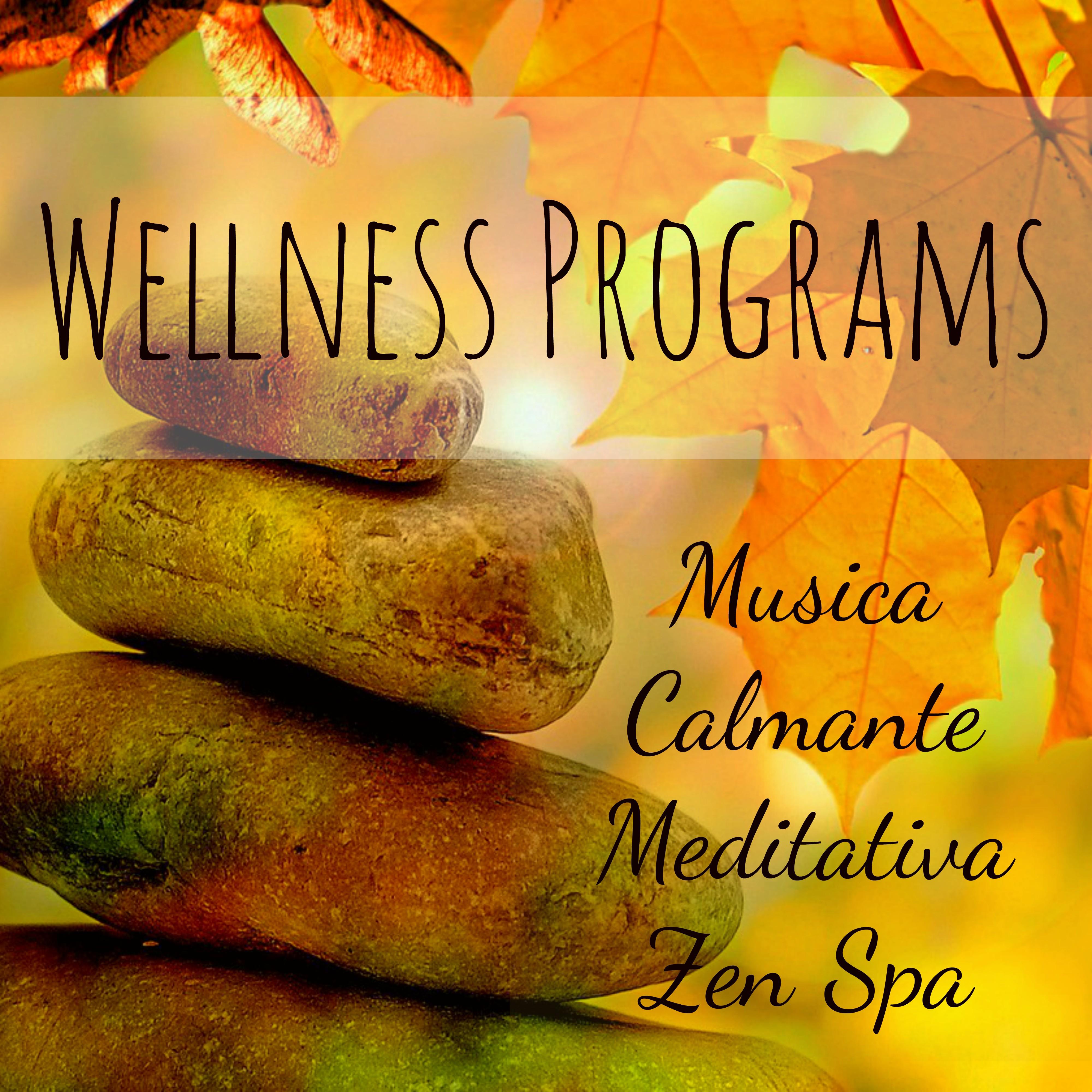 Wellness Programs - Musica Calmante Meditativa Zen Spa per Training Autogeno Tecniche di Rilassamento con Suoni della Natura Tradizionali Strumentali