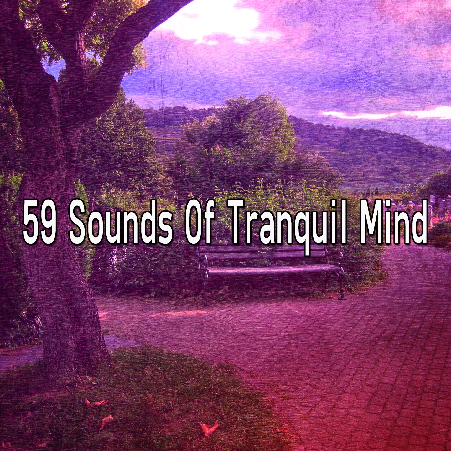 59 Sounds Of Tranquil Mind