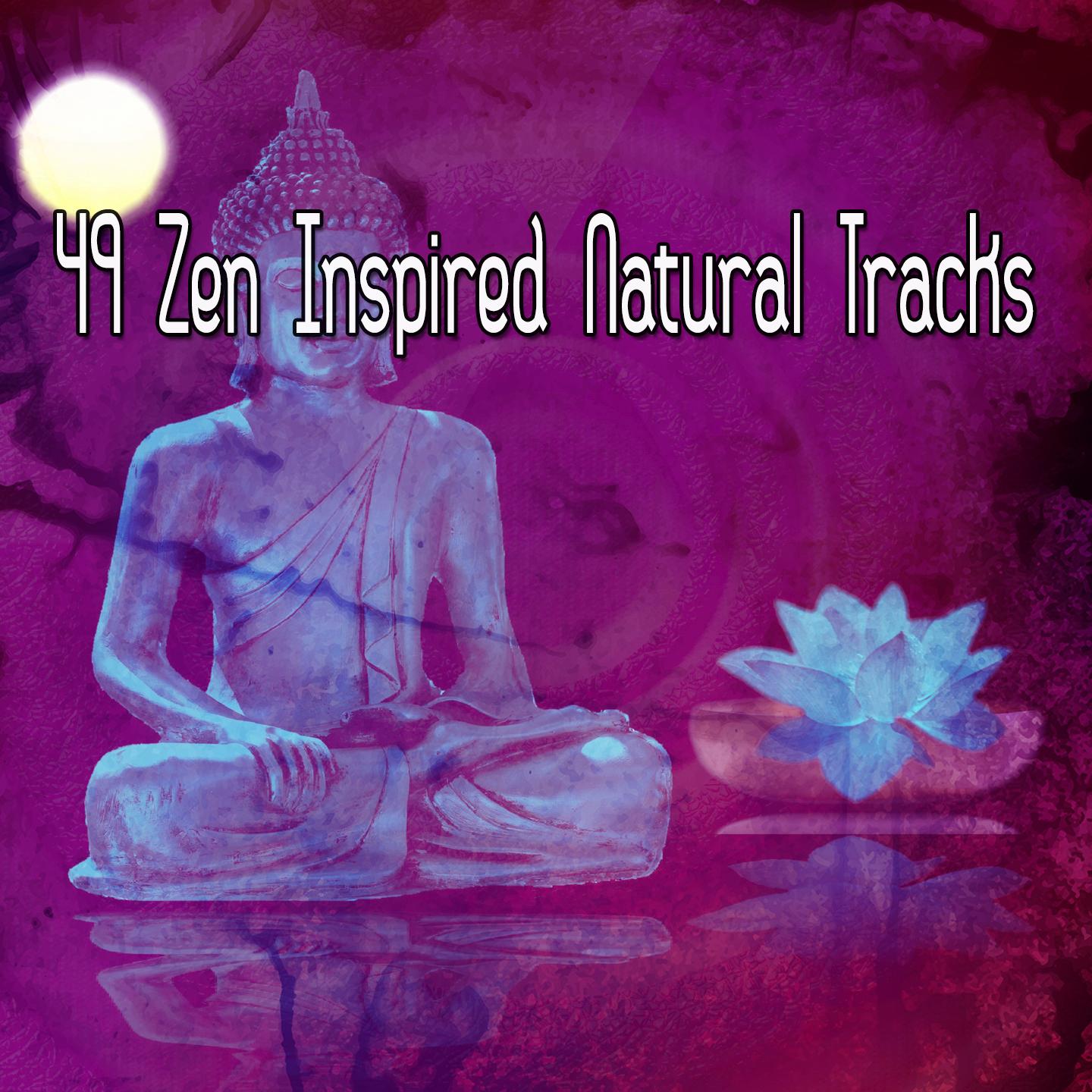 49 Zen Inspired Natural Tracks