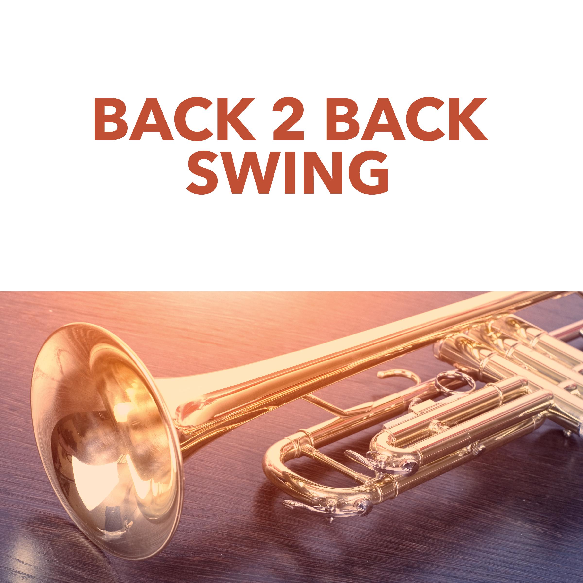 Back 2 Back Swing