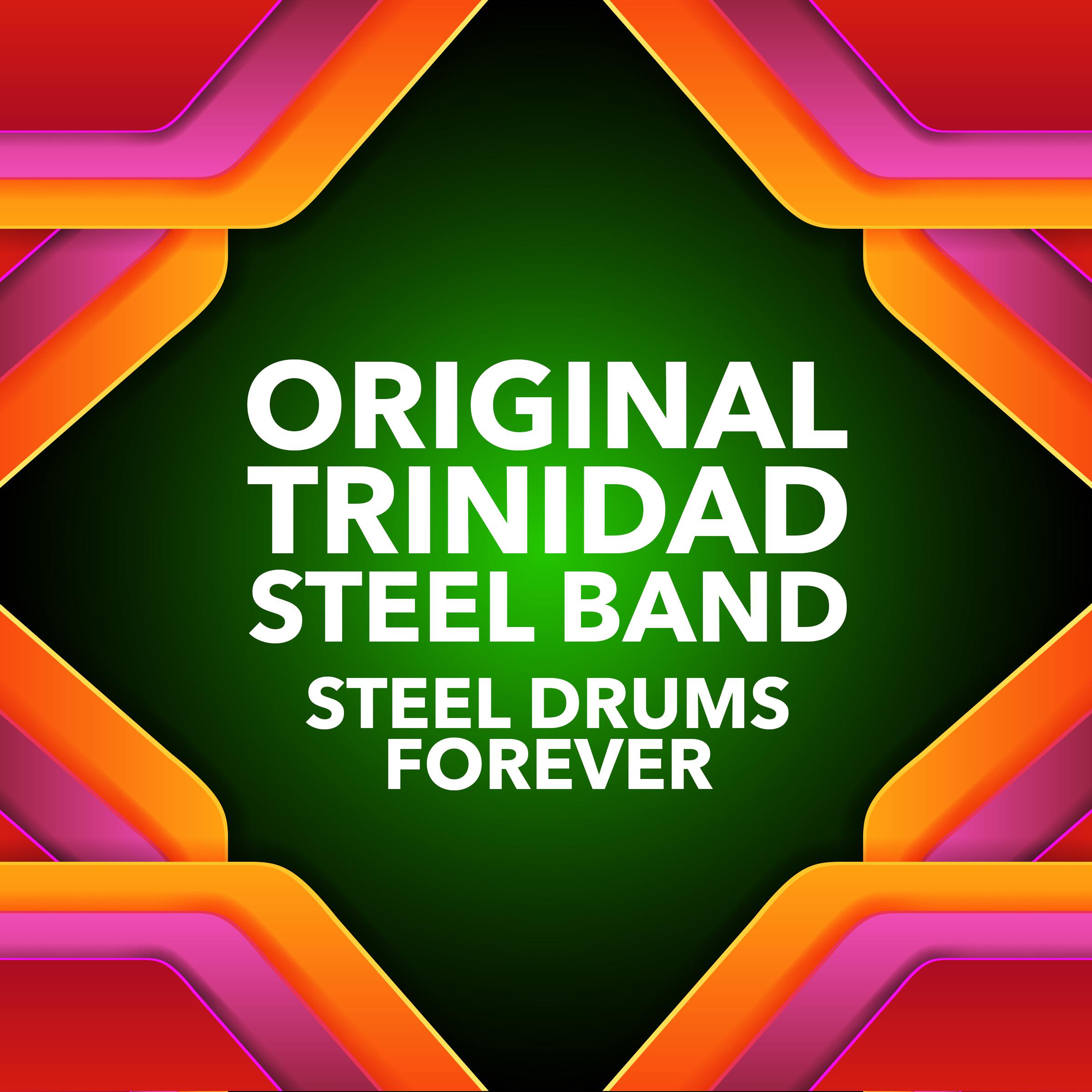 Steel Drums Forever