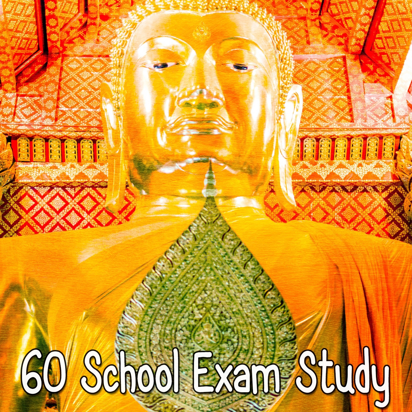 60 School Exam Study