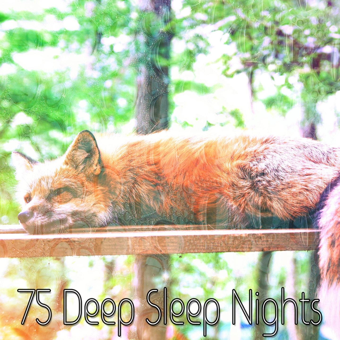 75 Deep Sleep Nights