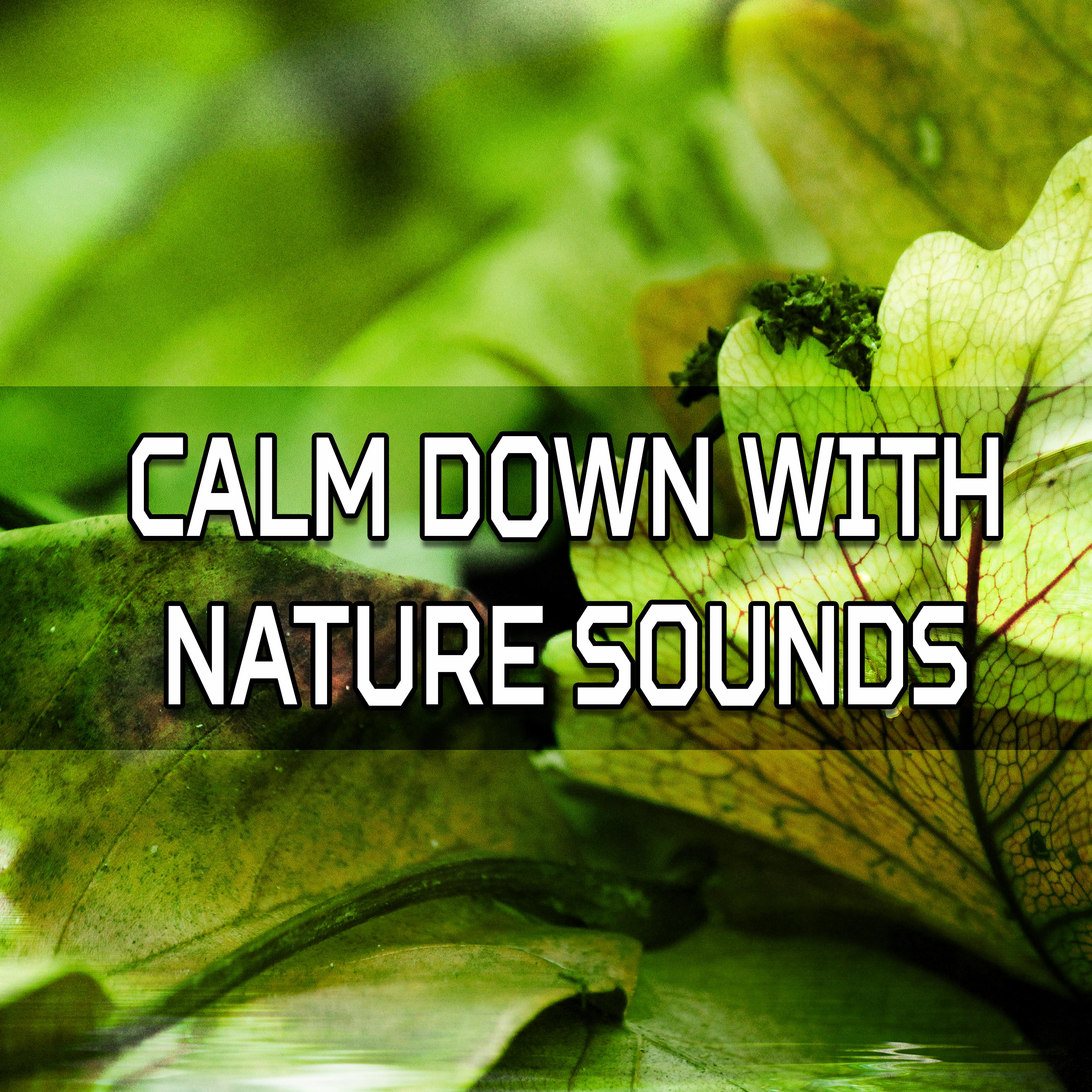 Calm Down with Nature Sounds  Music to Help You Rest, New Age Relaxation, Inner Balance, Mind Peace