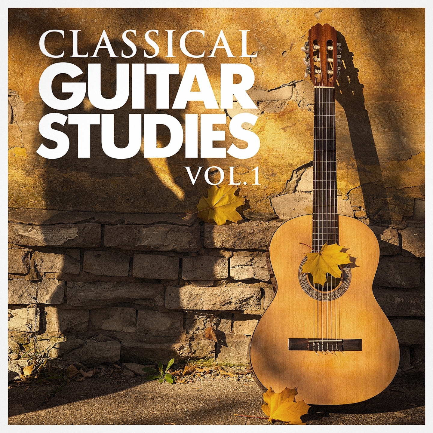 Classical Guitar Studies, Vol. 1