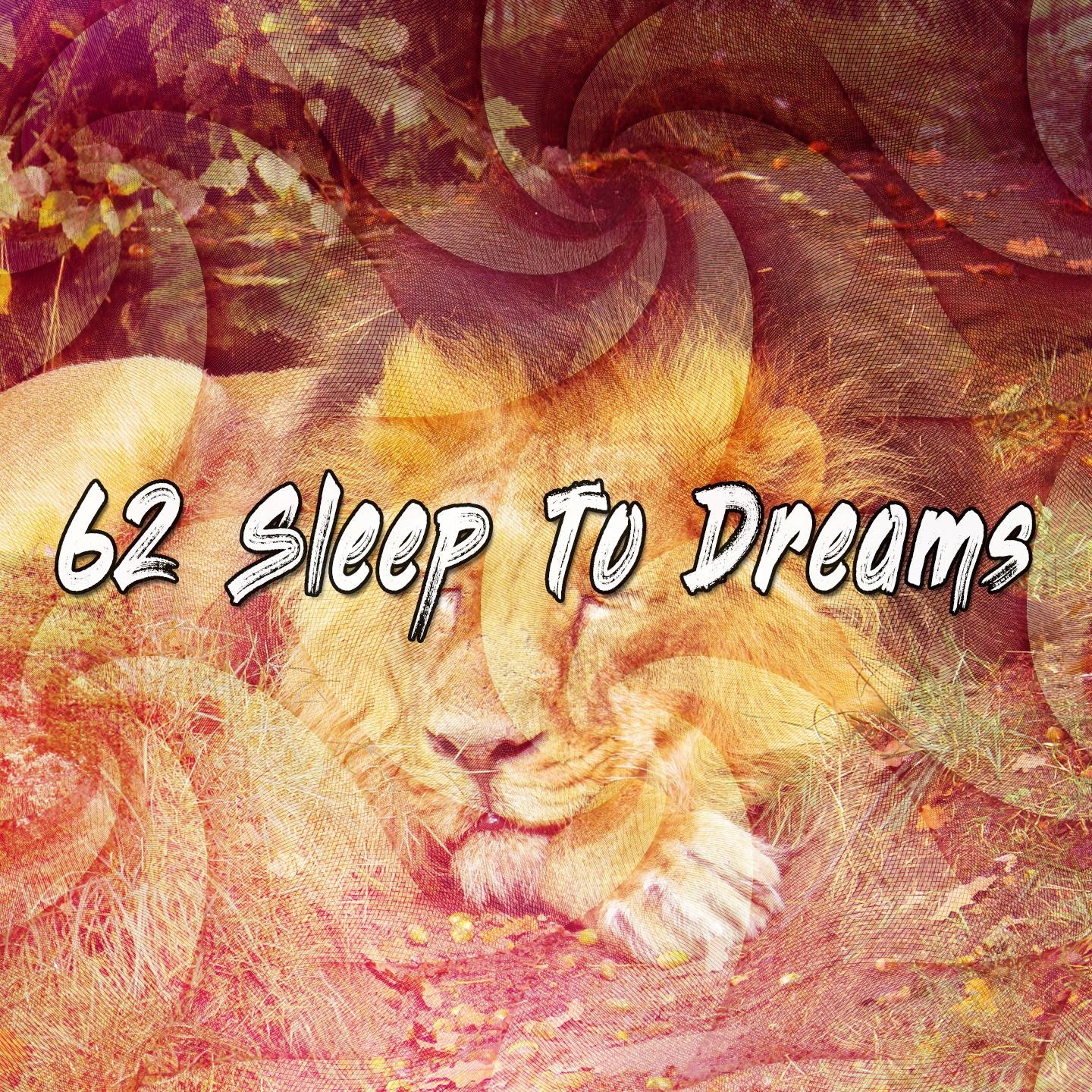 62 Sleep To Dreams