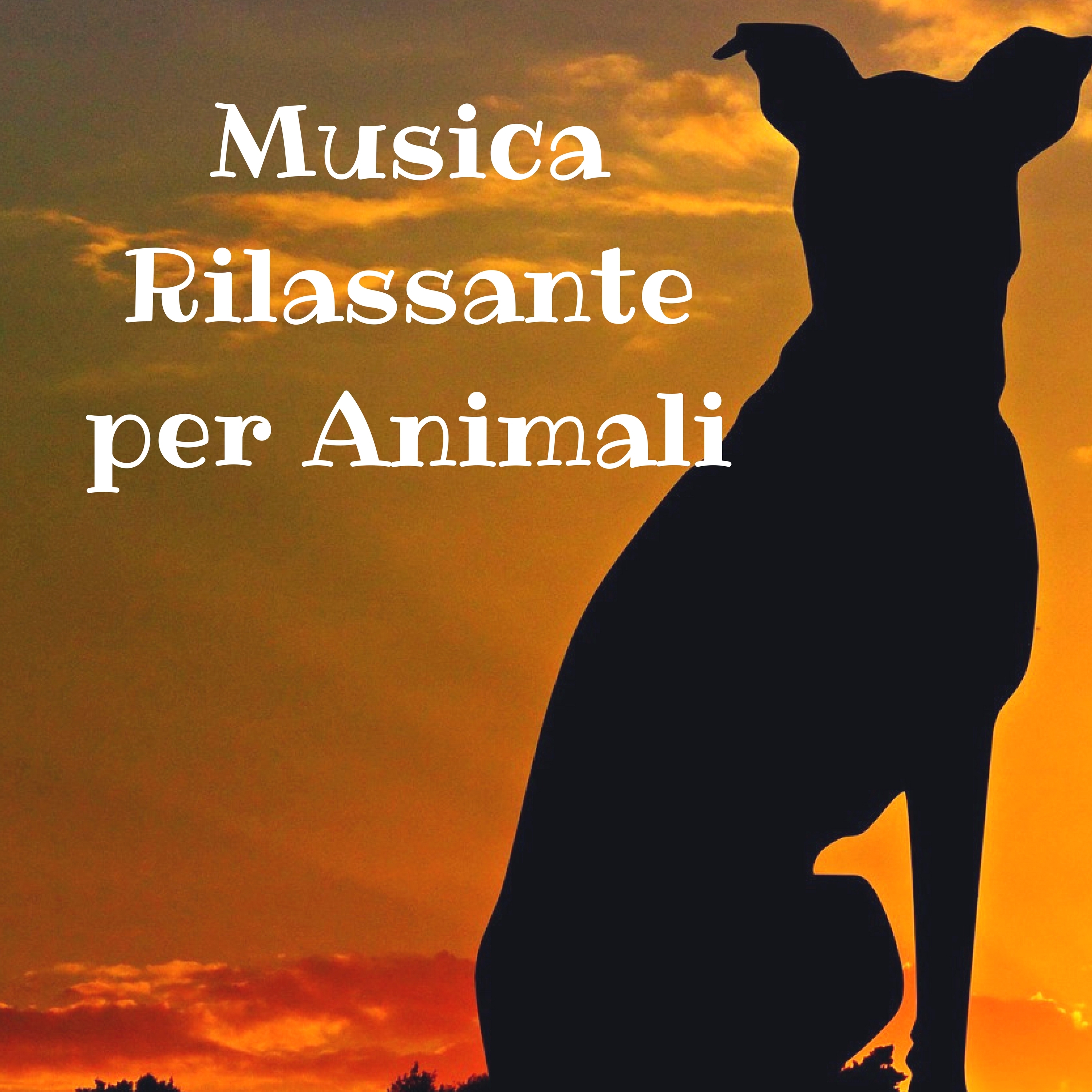 Musica Rilassante per Animali