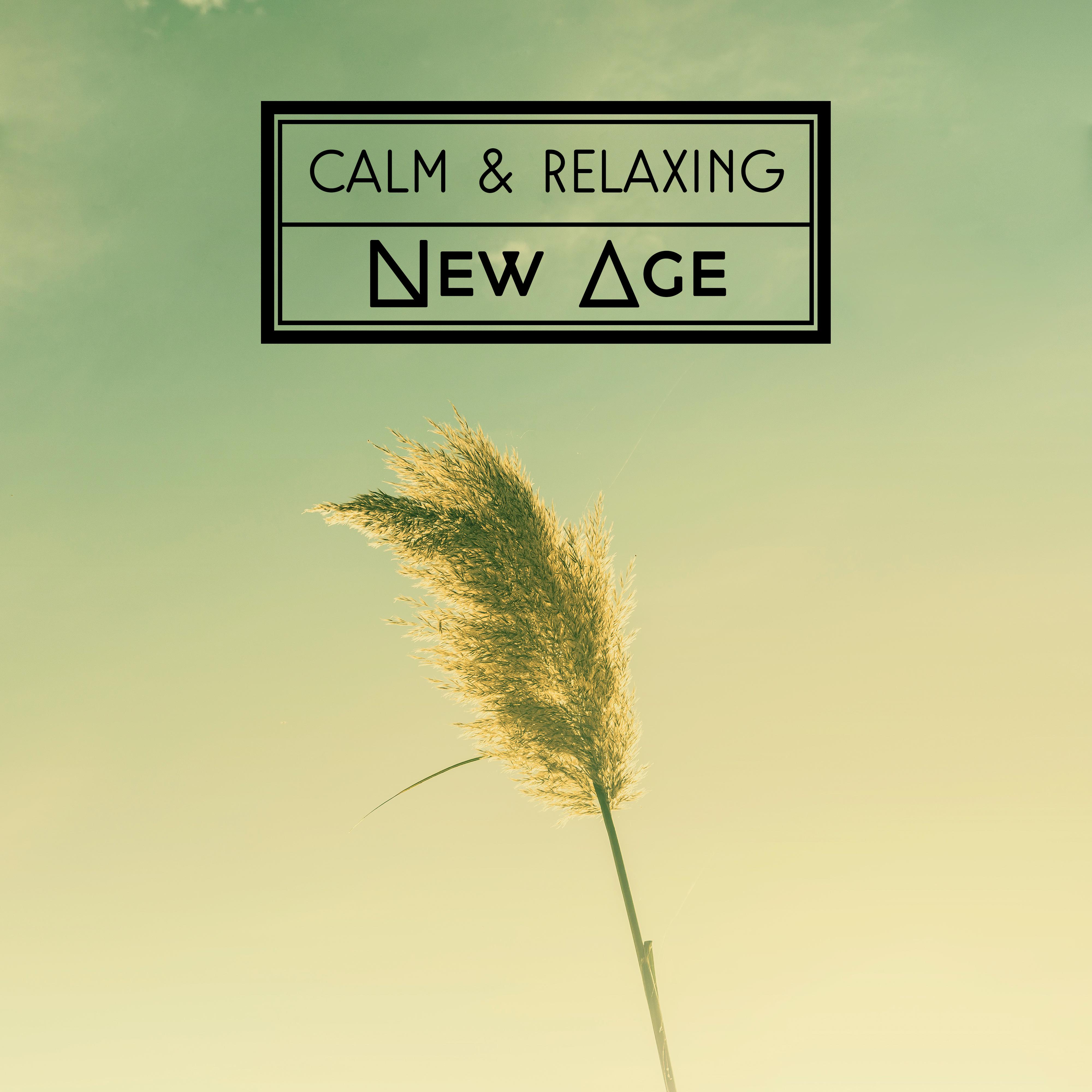 Calm  Relaxing New Age  Calm Mind, Peaceful Soul, Spirit Journey, New Age Relaxation, Music to Rest