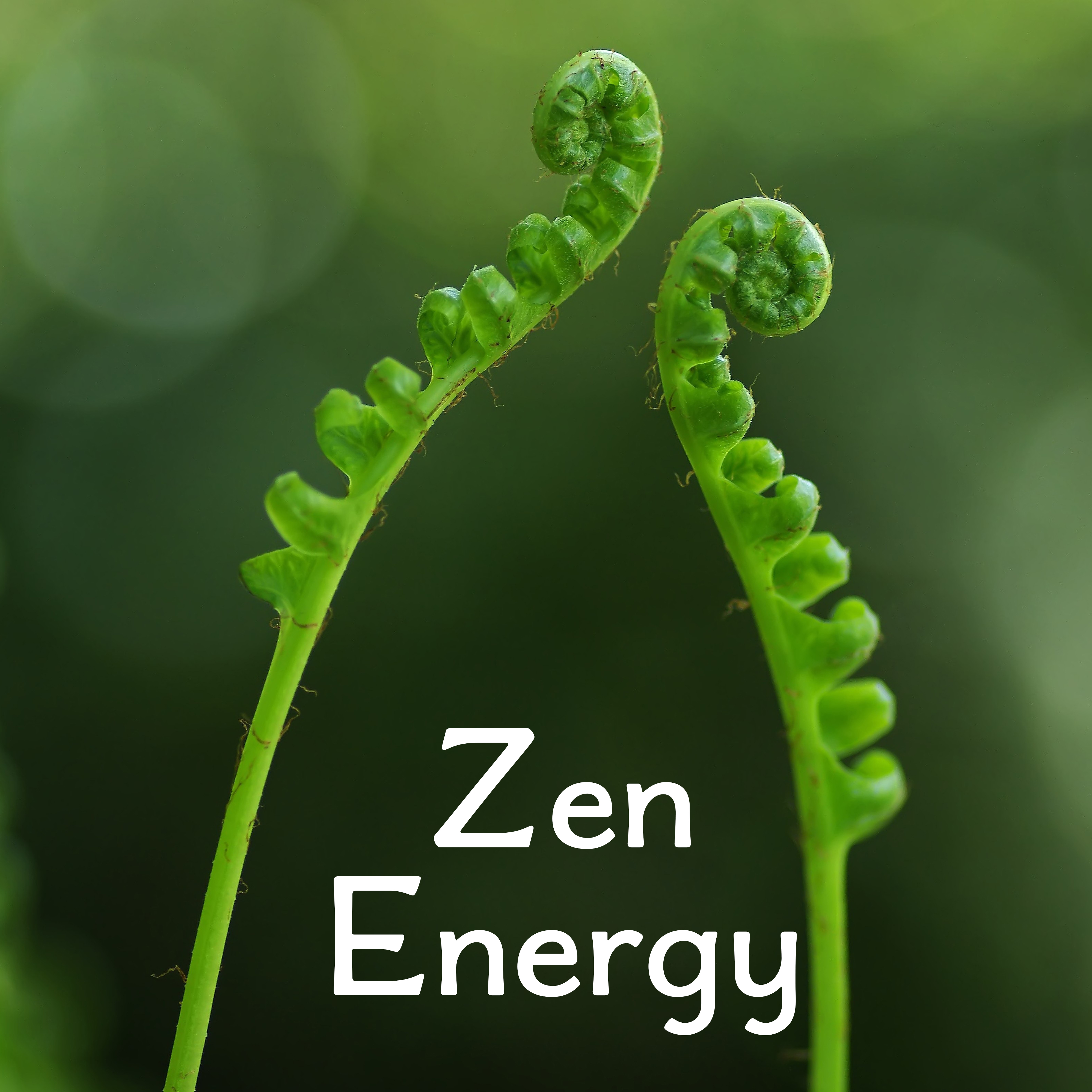Zen Energy  Contemplation of Nature, Soft Music for Relaxation, Pure Mind, Relief, Relaxing Waves, Inner Tranquility