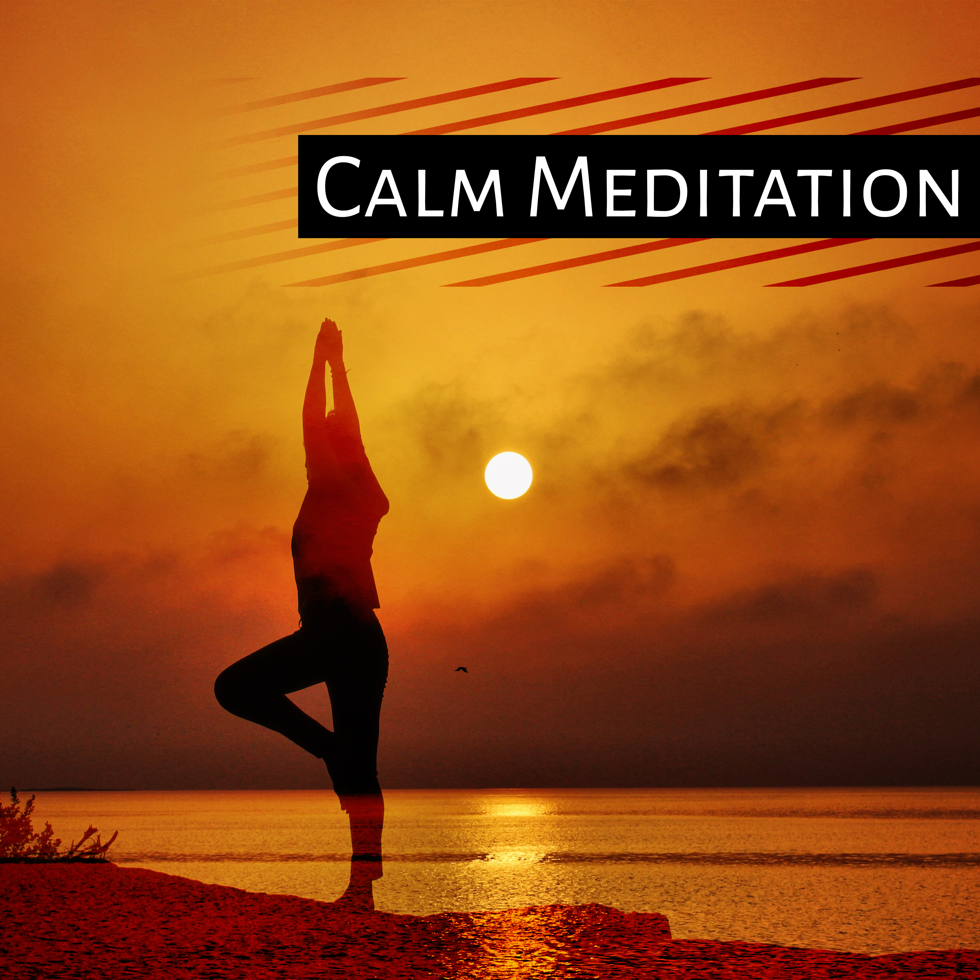 Calm Meditation  Training Yoga, Peaceful Music, Relaxation, Nature Sounds for Concentration, Stress Relief, Meditate