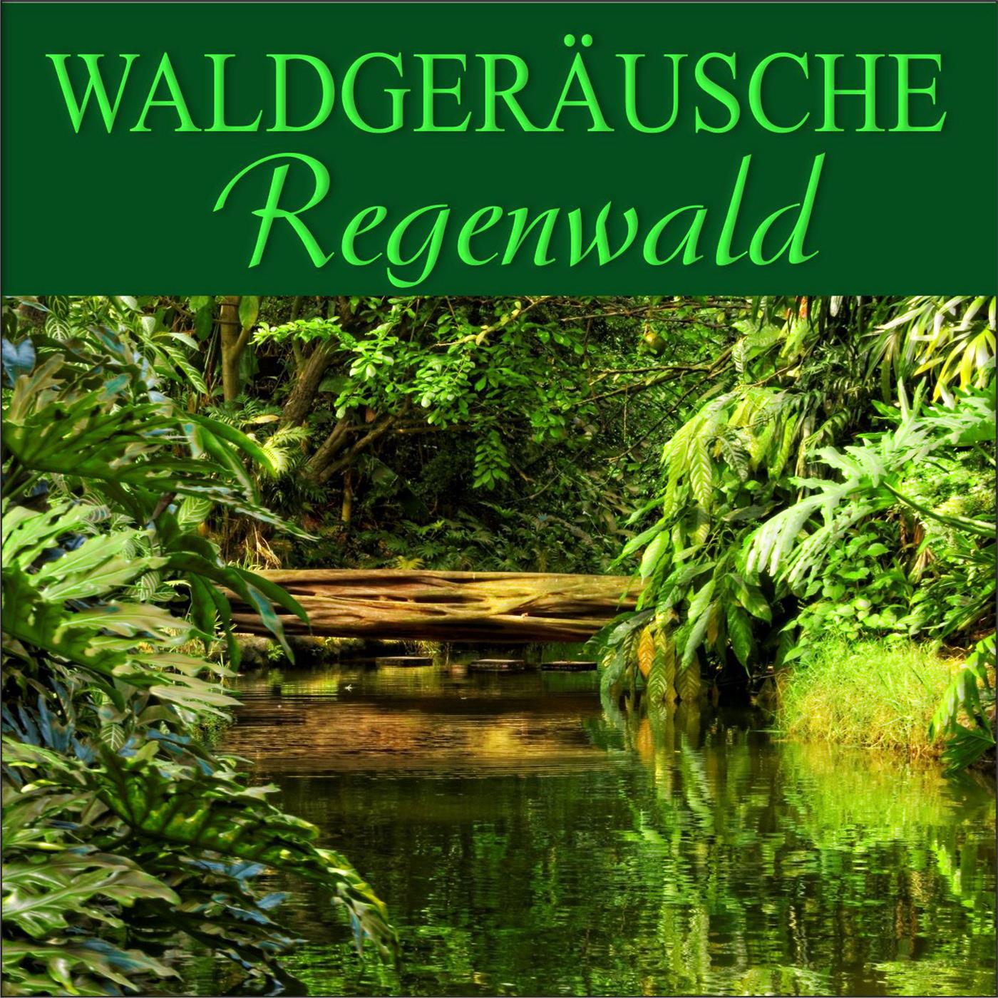 Regenwald nahe eines Dorfes