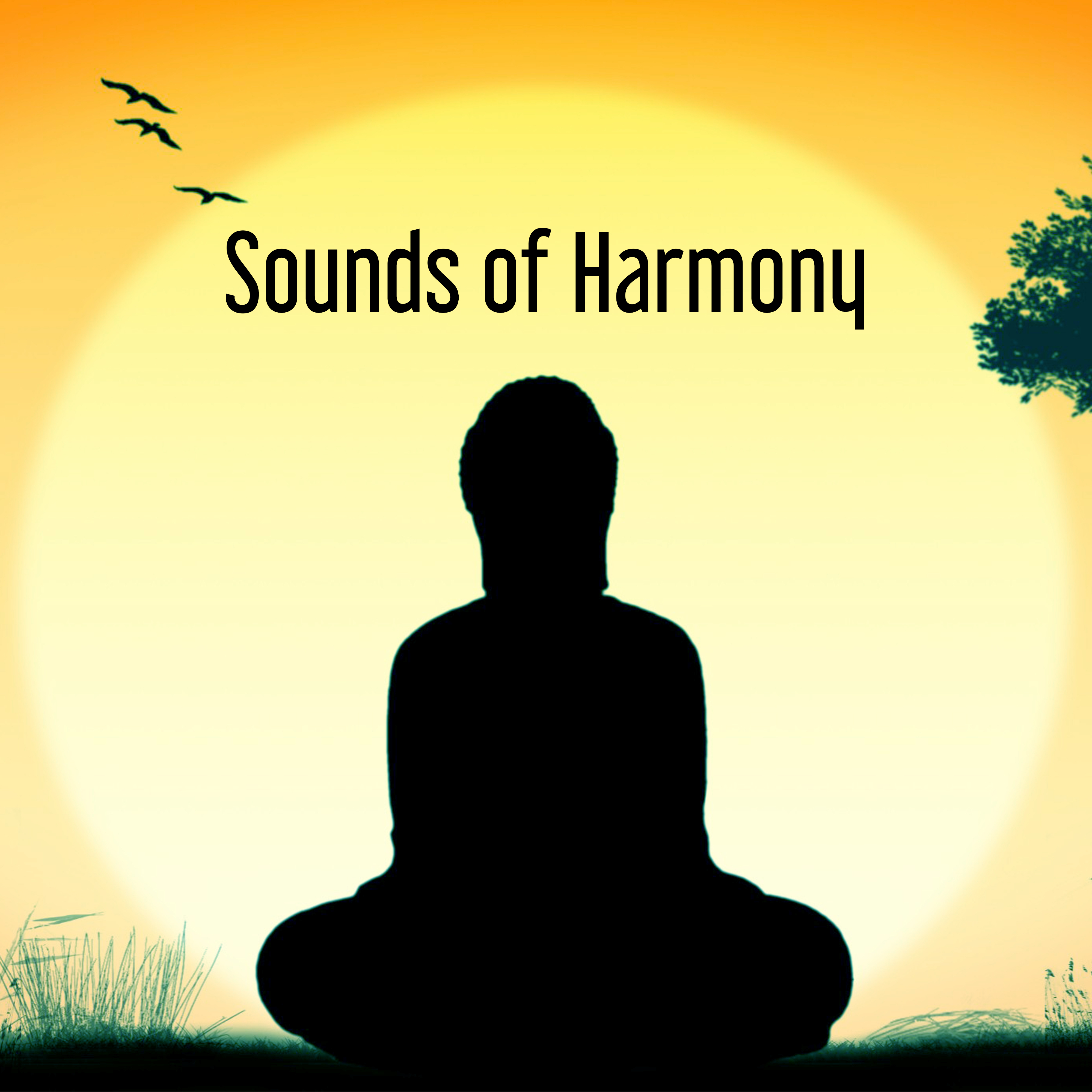 Sounds of Harmony  Meditation Lounge, Buddha Relaxation, Inner Silence, Music to Calm Down, Stress Relief