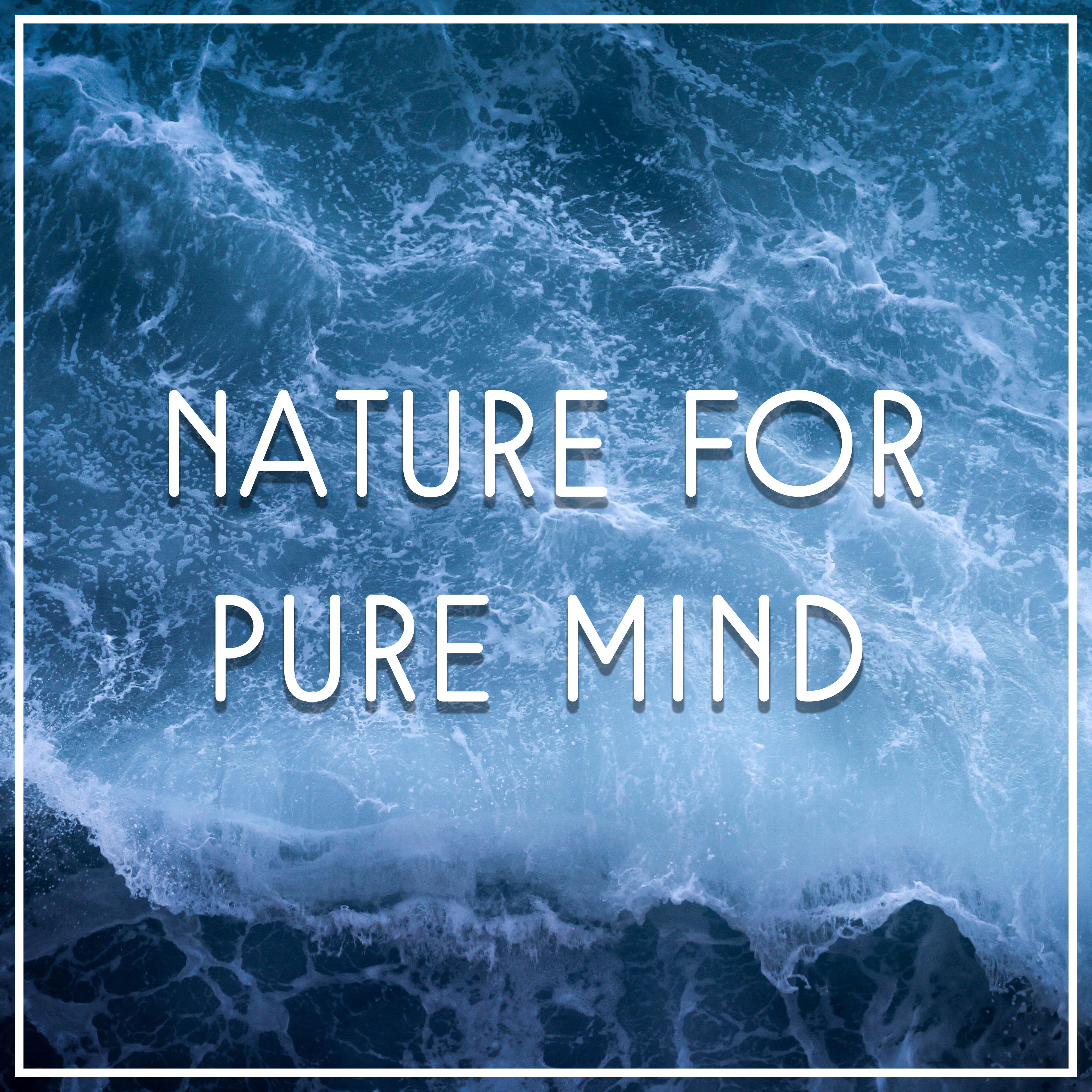 Nature for Pure Mind  Soft Music to Rest, Calming Sounds, Relaxing Waves, Soothing Water, Relaxation Music, Deep Relief