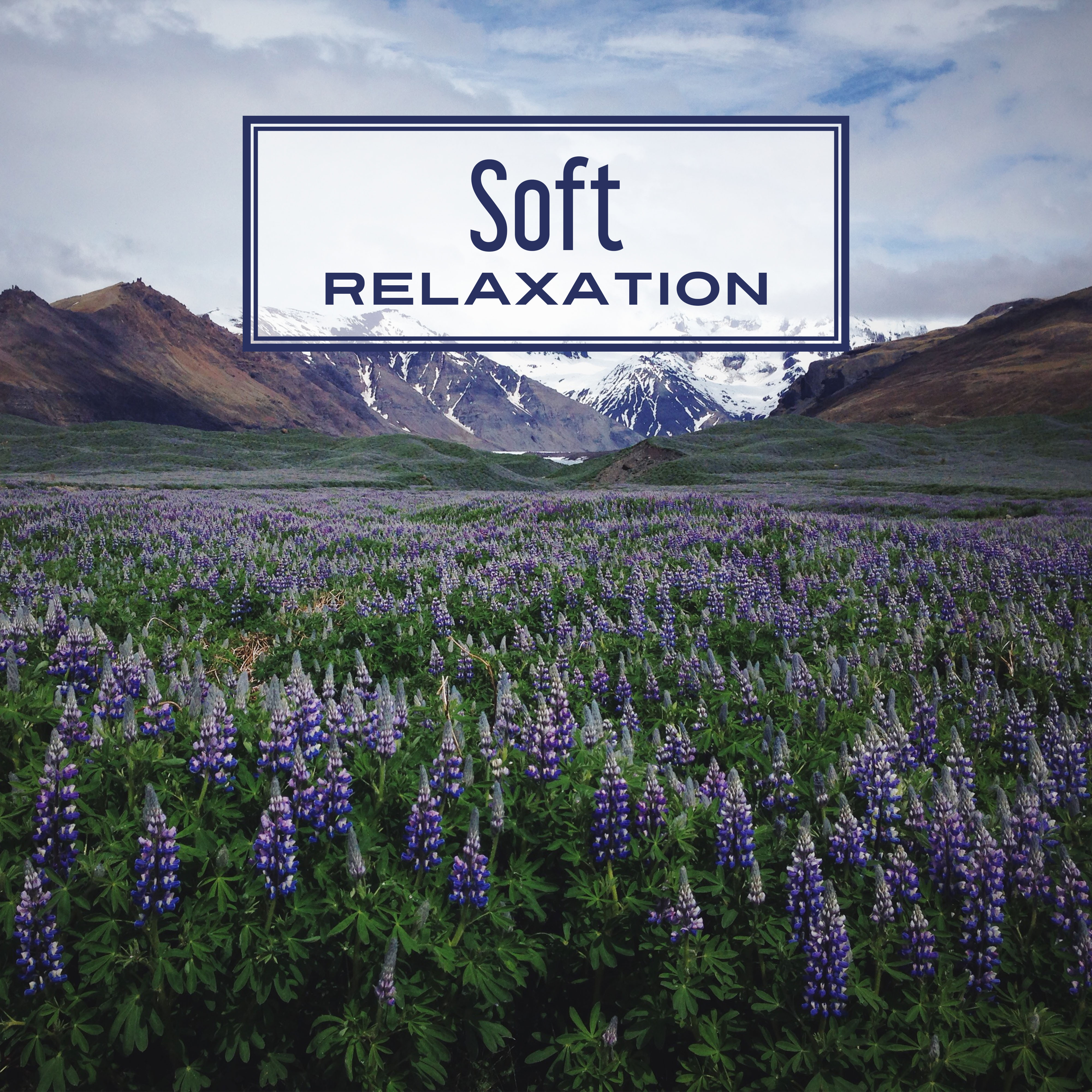 Soft Relaxation  Nature Sounds to Calm Down, Stress Relief, Zen, Healing Music, Sounds of Water, Reiki, Harmony