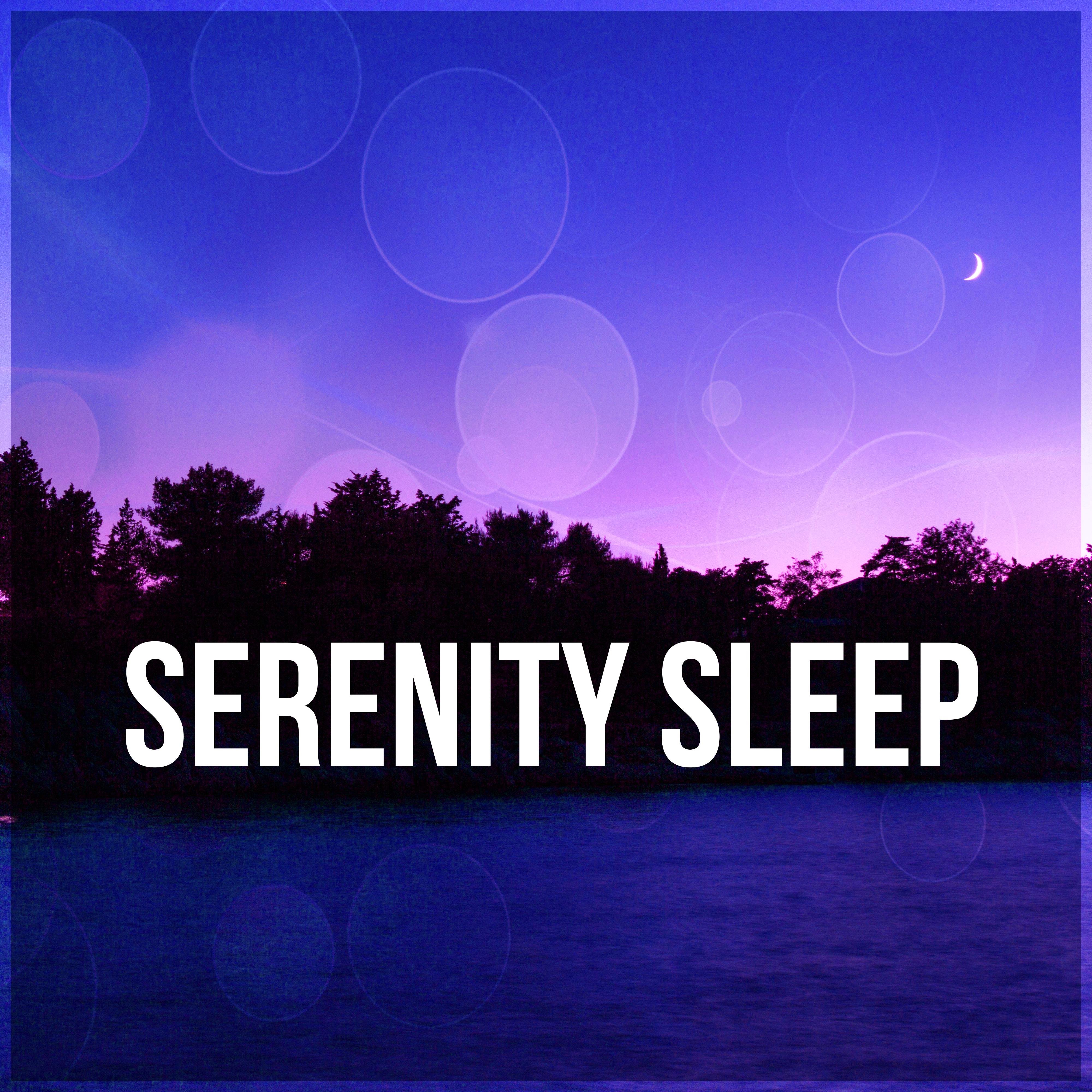 Serenity Sleep  Restful Sleep, Deep Sounds of Nature, Sleep Ambient Sounds, Night Time