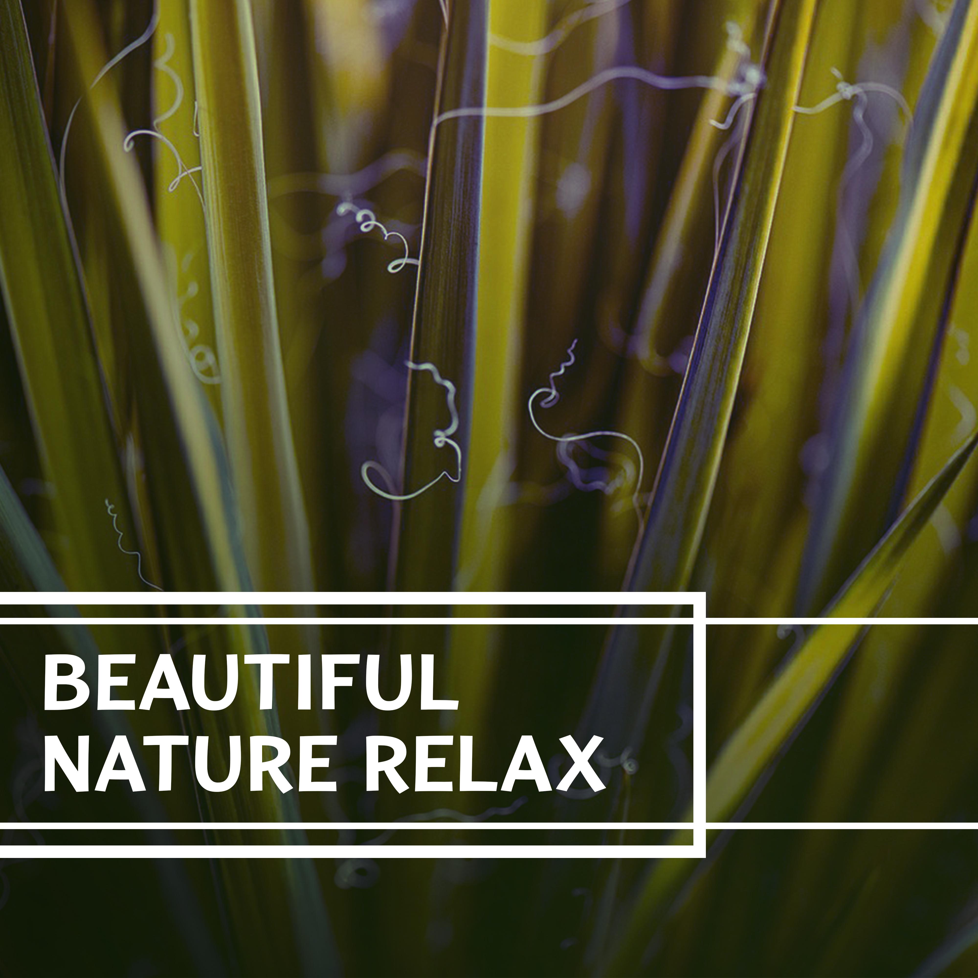 Beautiful Nature Relax  Sounds of Nature Relaxation, Outdoors Sounds, Rain, Forest Sounds, Meadow Songs, Ambient Relaxation