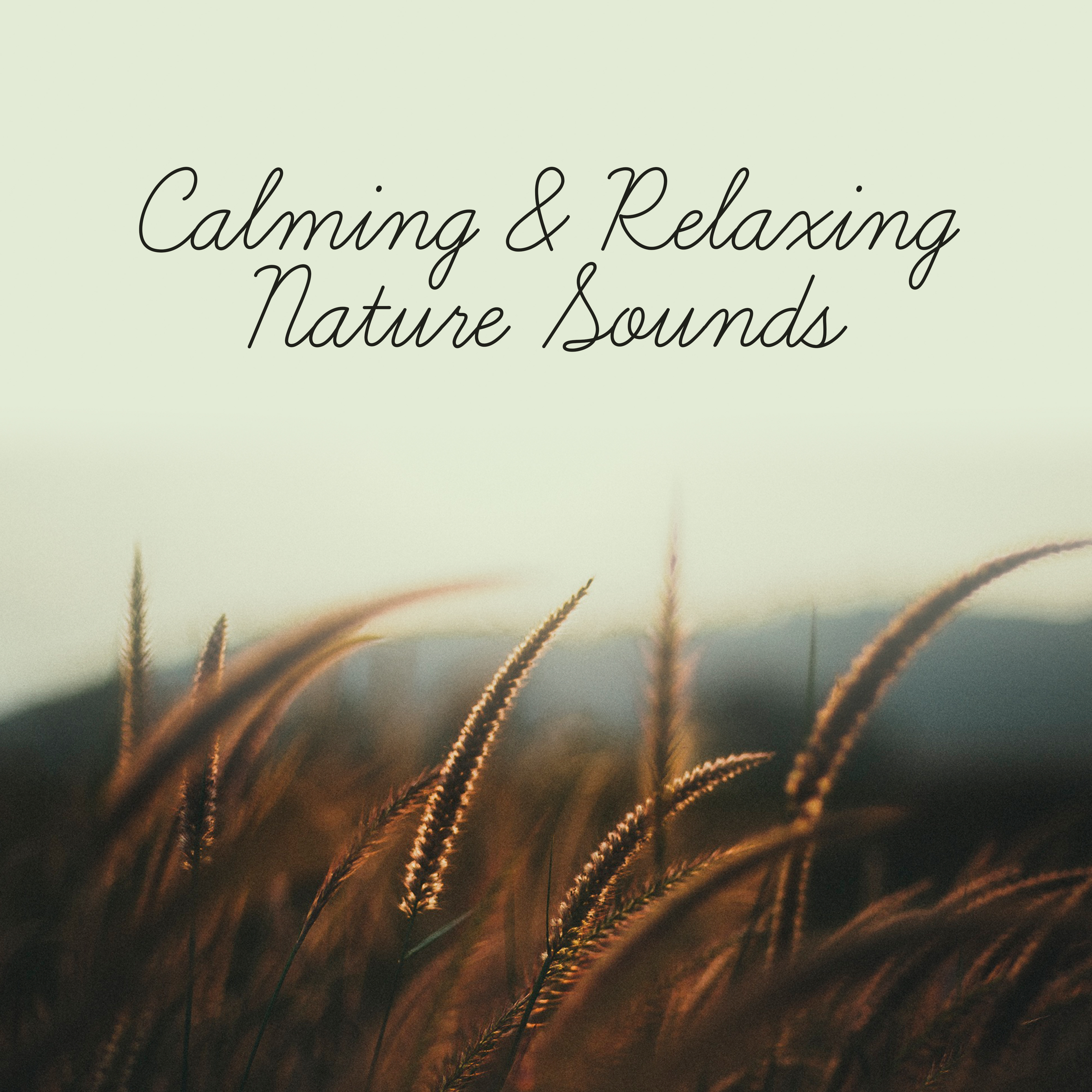 Calming  Relaxing Nature Sounds  Soft Music to Relax, Calm Down with New Age, Rest Yourself