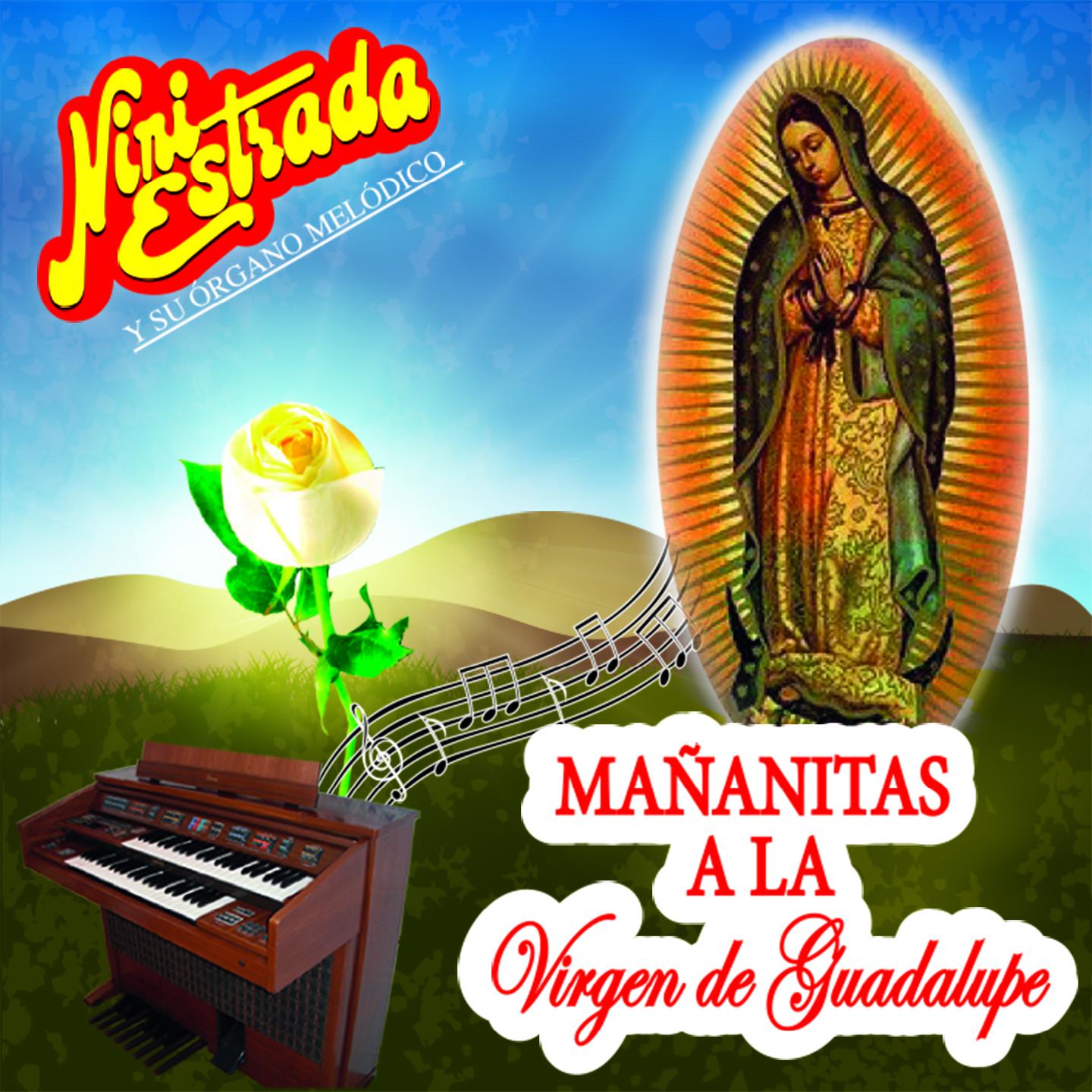 Ma anitas a la Virgen de Guadalupe