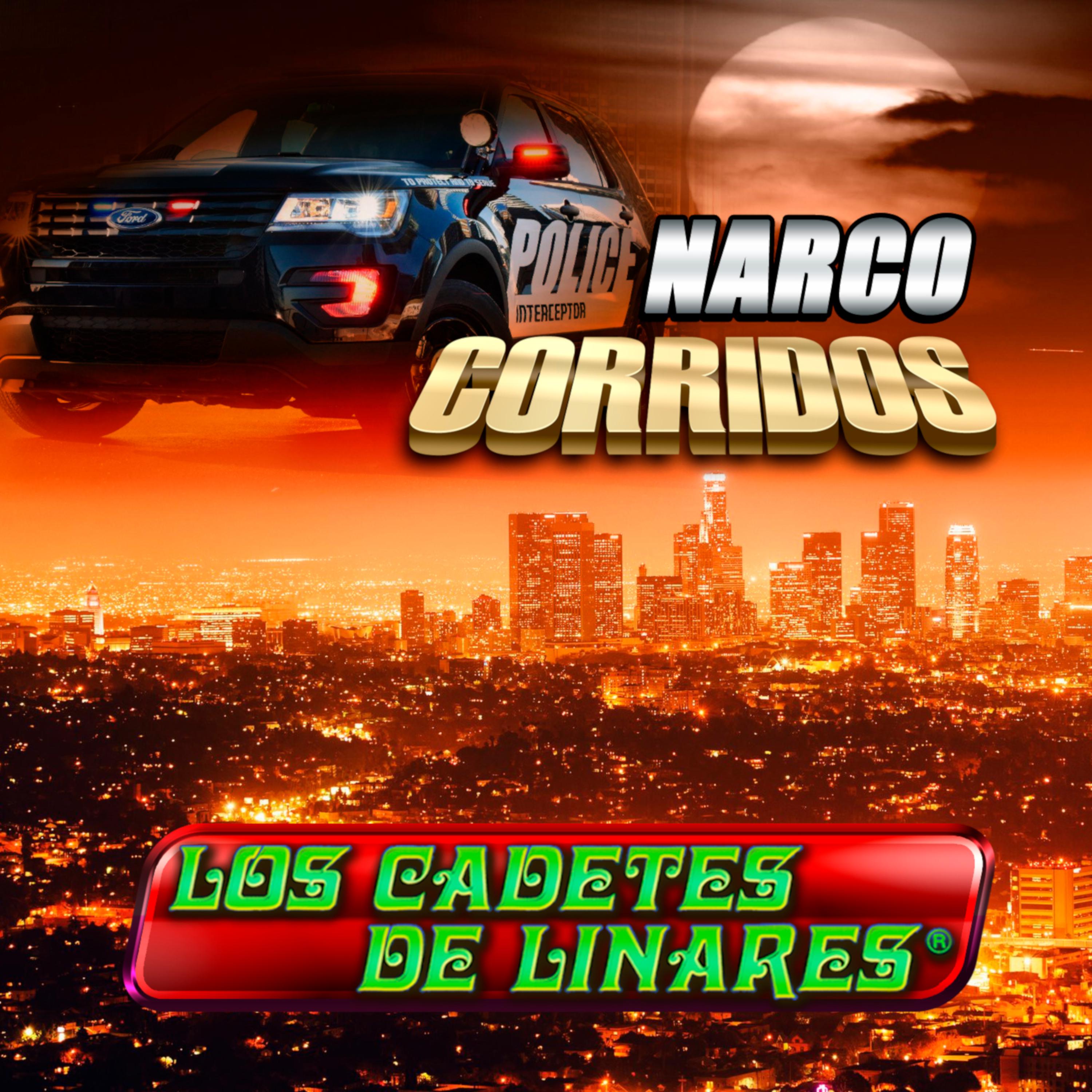 Narco Corridos