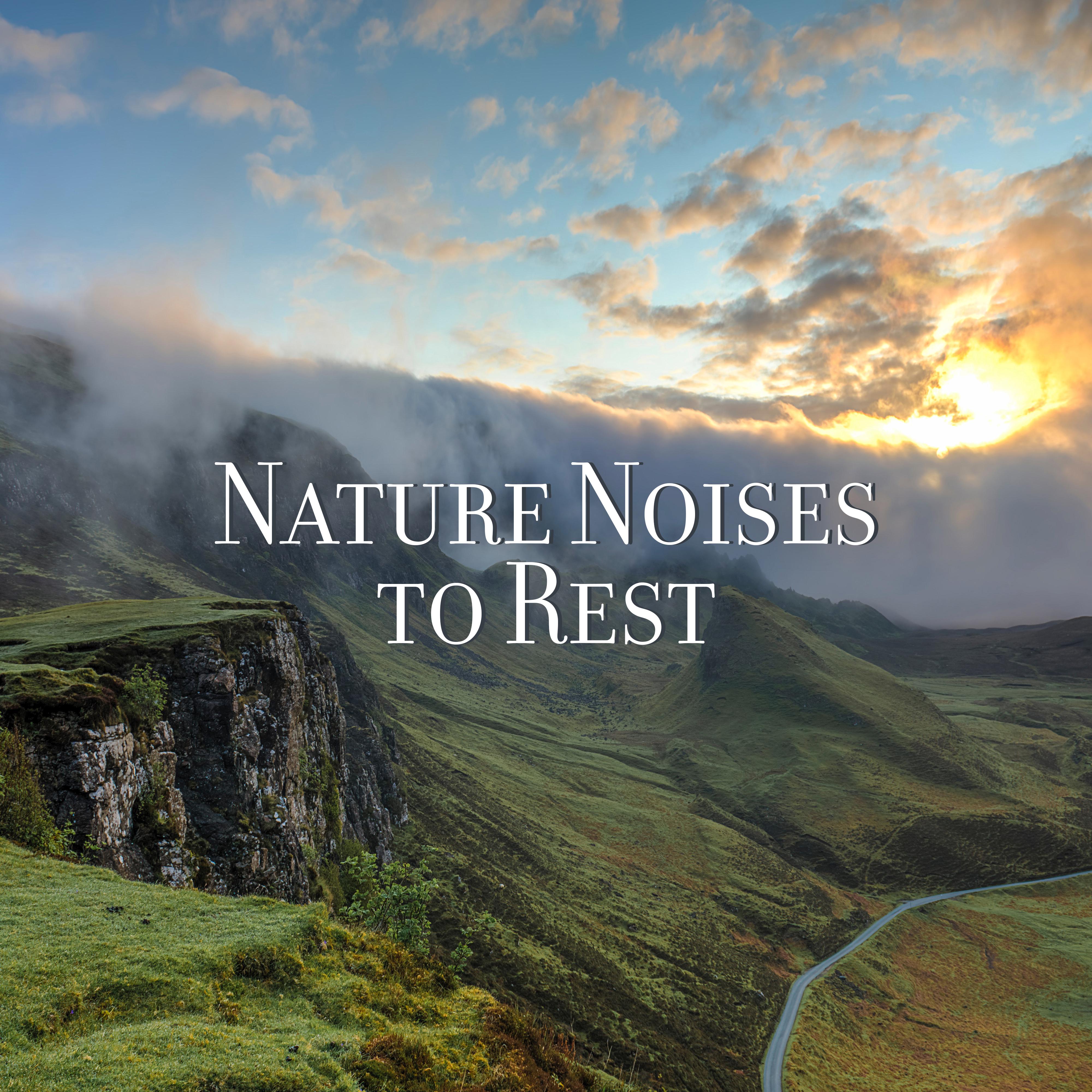 Nature Noises to Rest