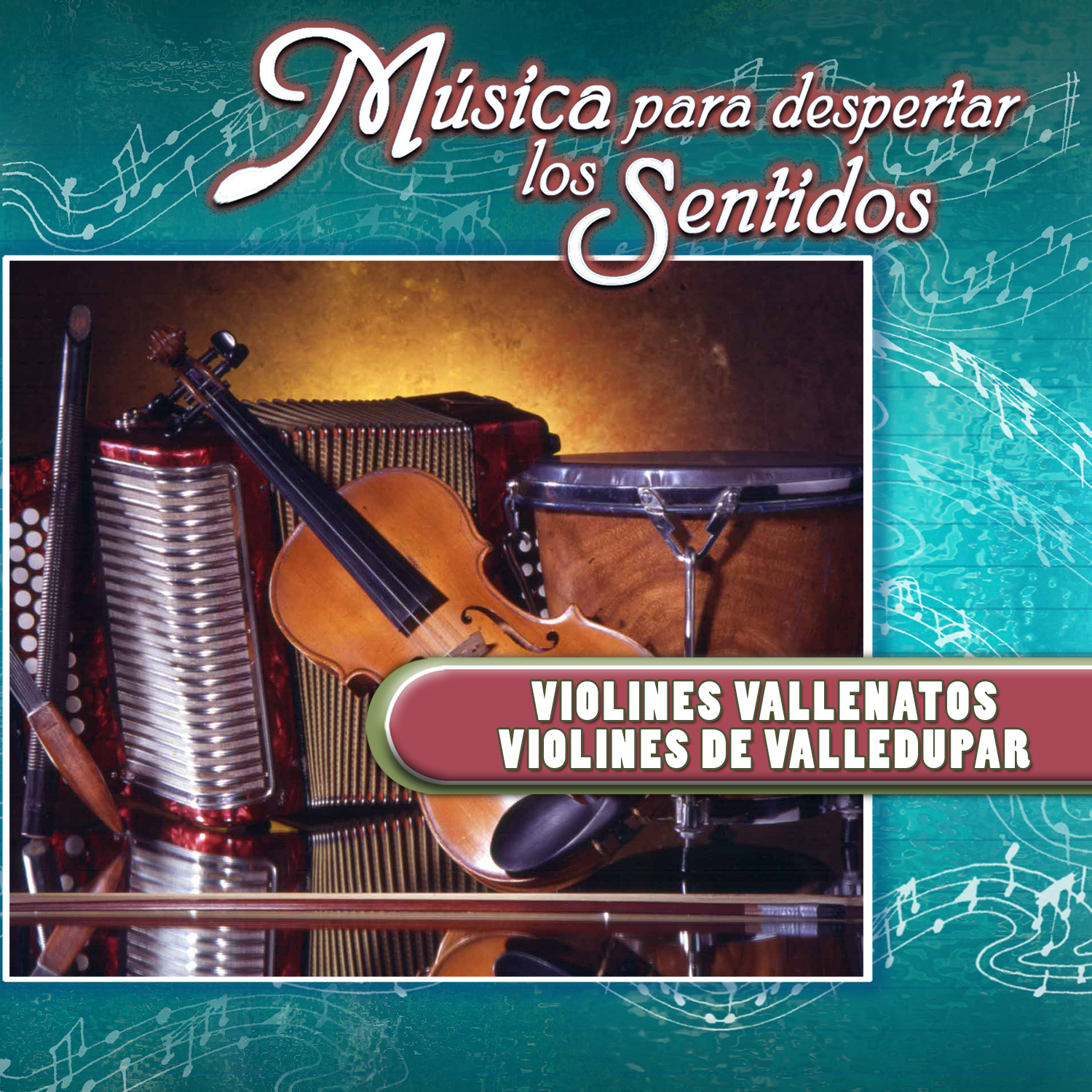 Mu sica para Despertar los Sentidos: Violines Vallenatos