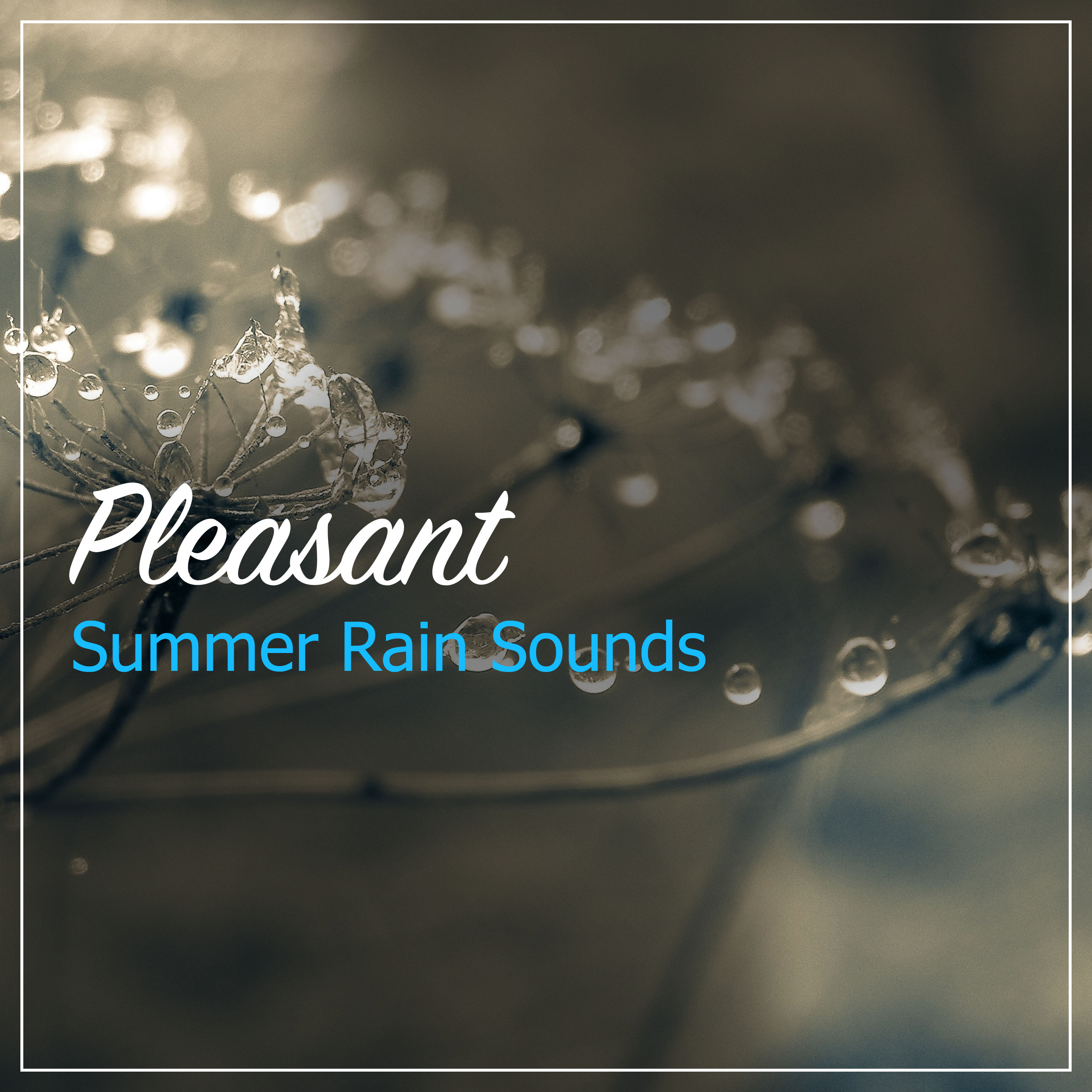 #19 Pleasant Summer Rain Sounds from Nature