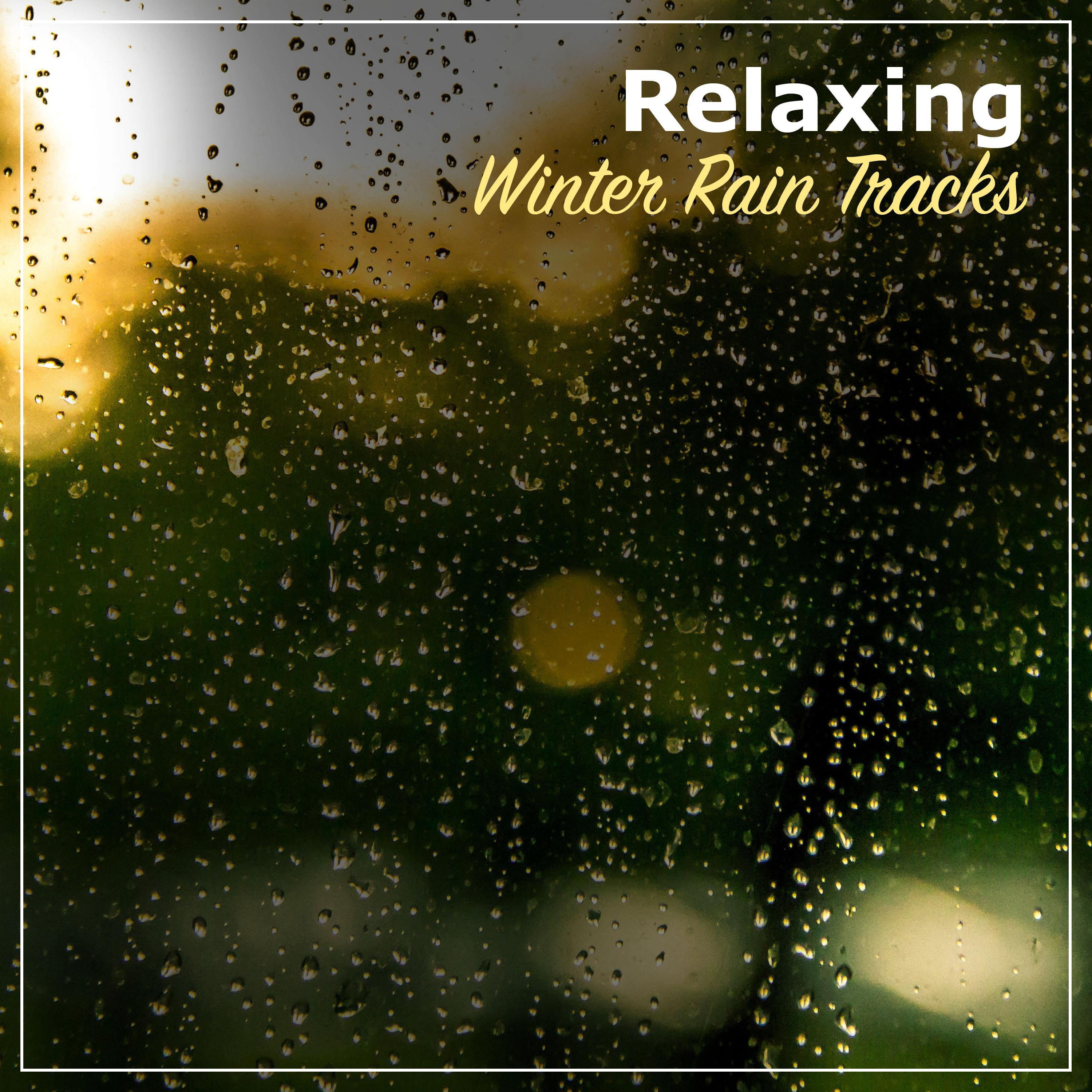 #21 Relaxing Winter Rain Tracks