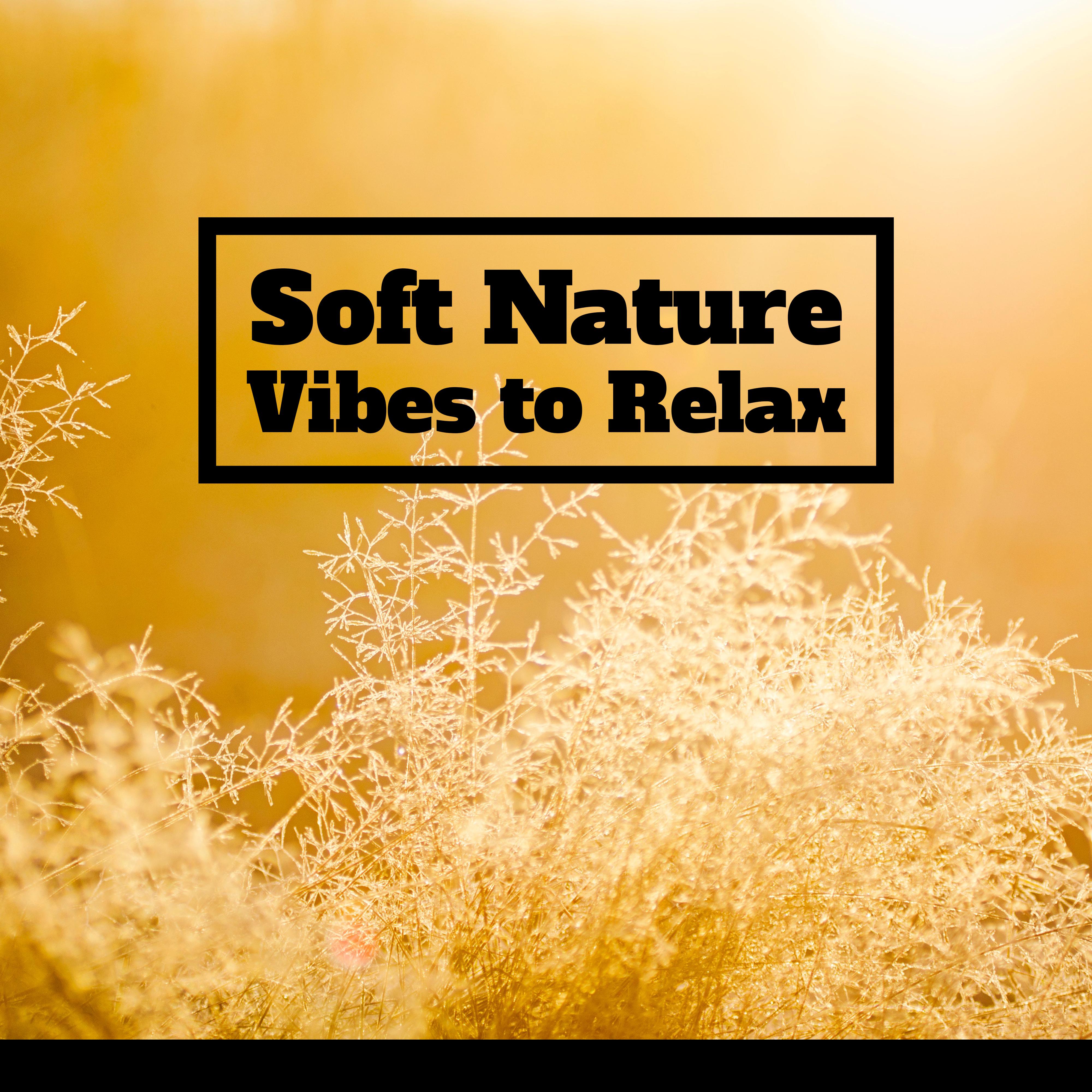 Soft Nature Vibes to Relax