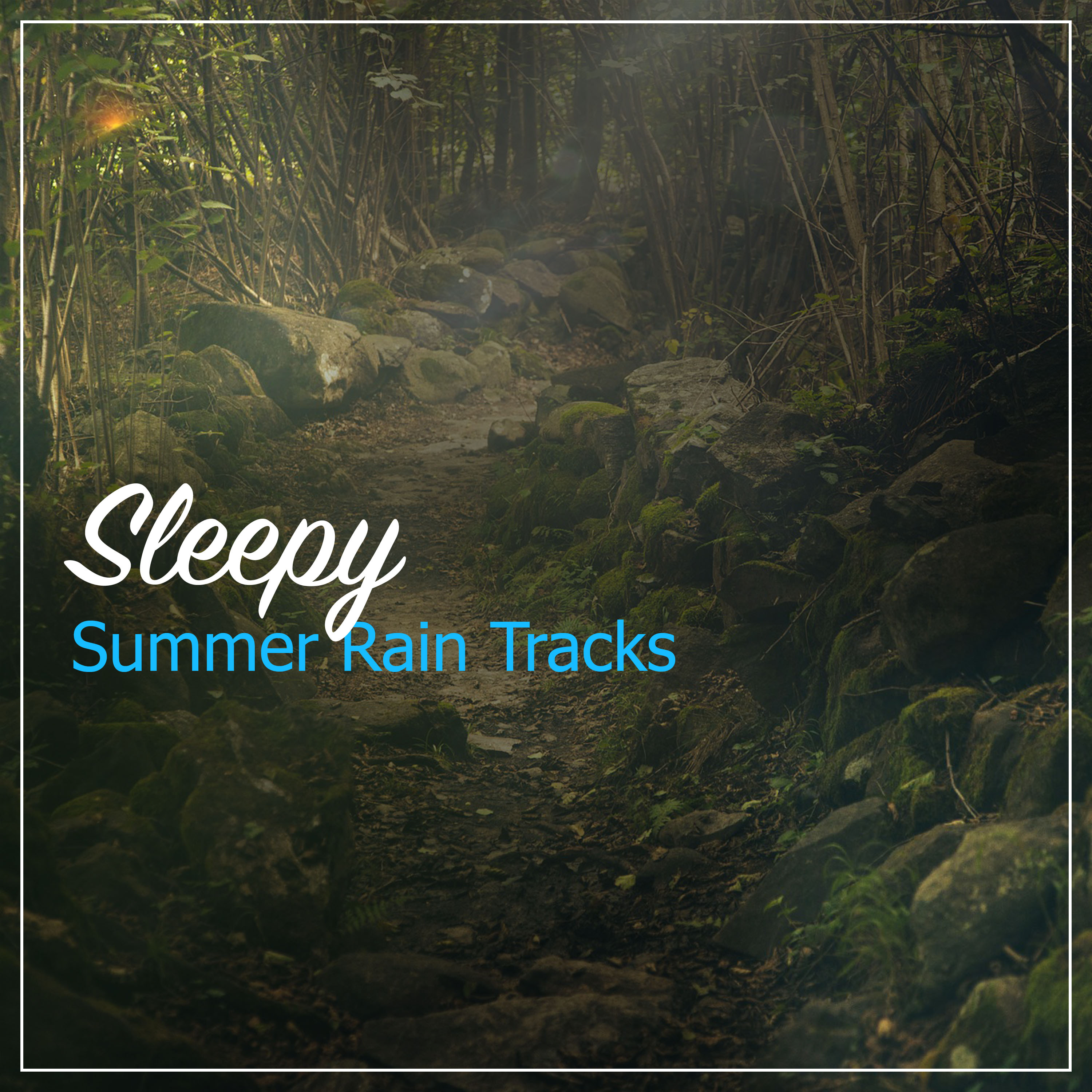 #10 Sleepy Summer Rain Tracks for Sleep and Relaxation