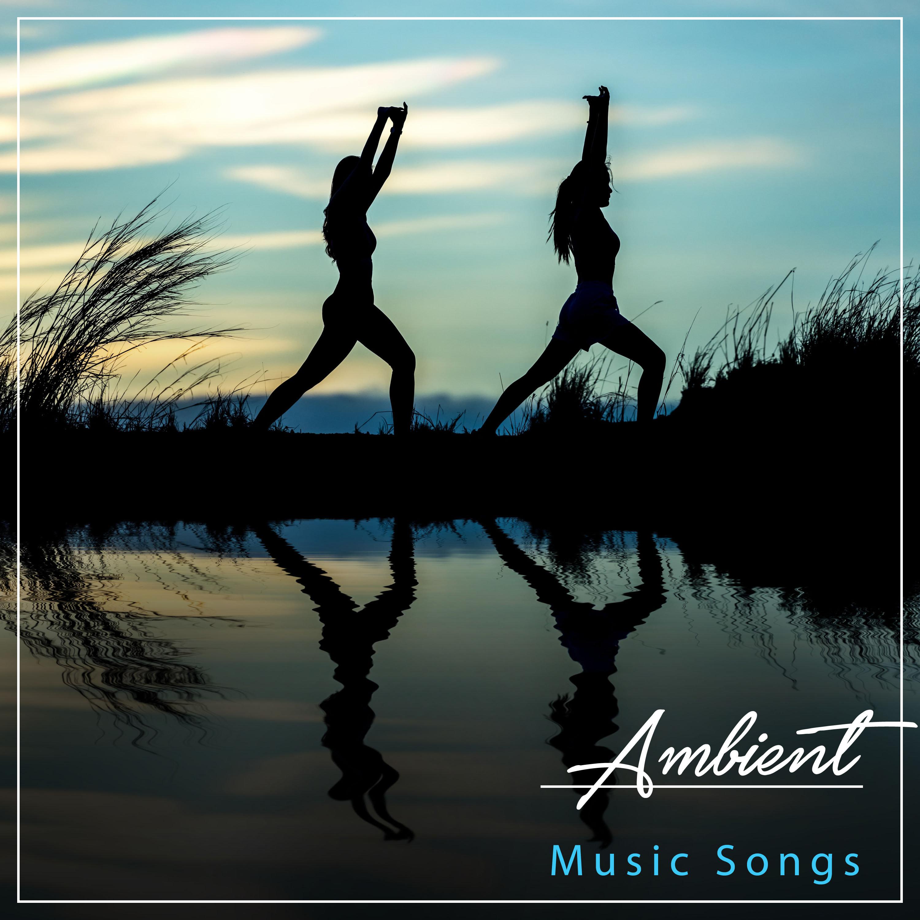 #14 Ambient Music Songs for Yoga, Zen and Meditation