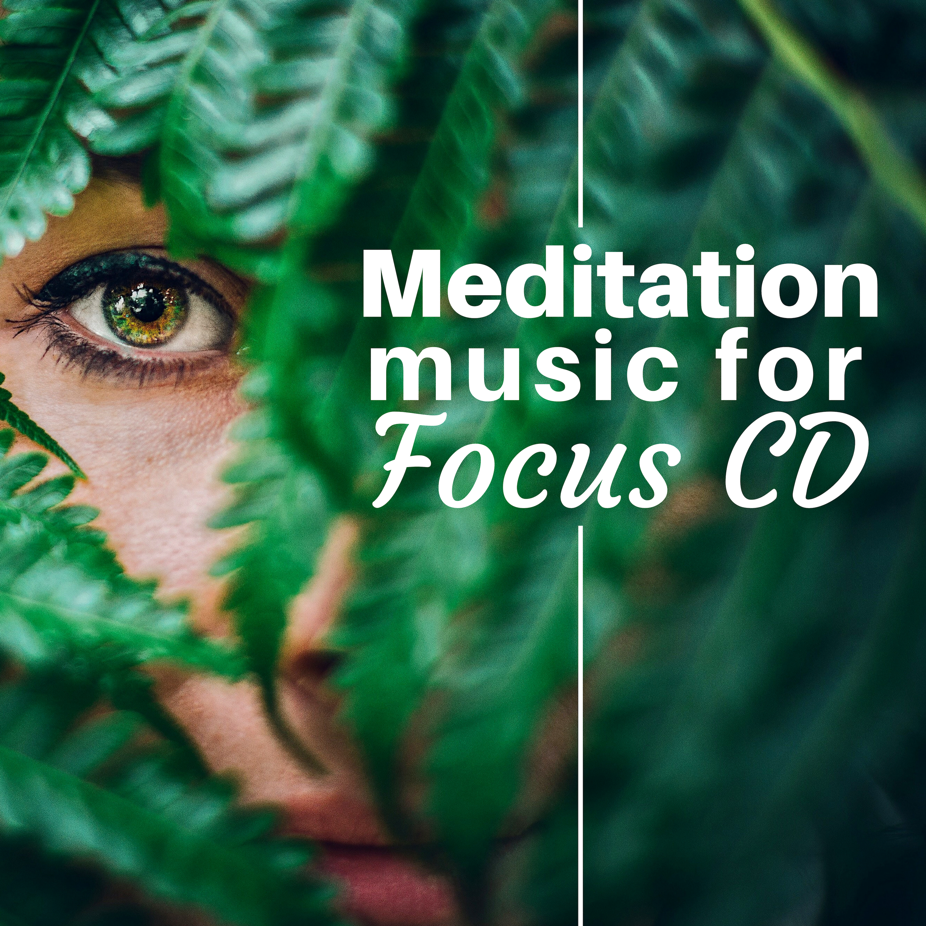 Meditation Music for Focus CD - Relax, Release, Rebalance