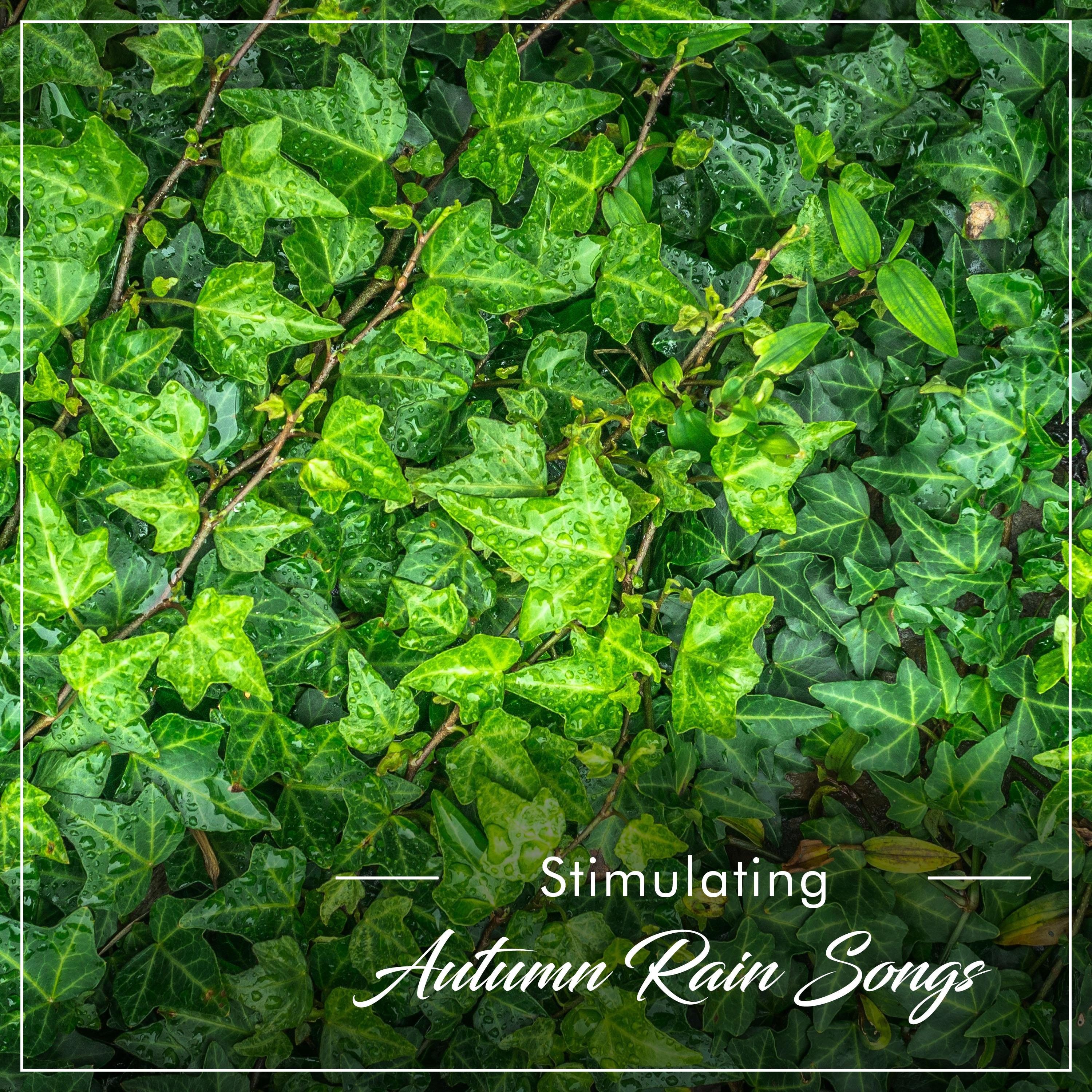 #14 Stimulating Autumn Rain Songs from Nature