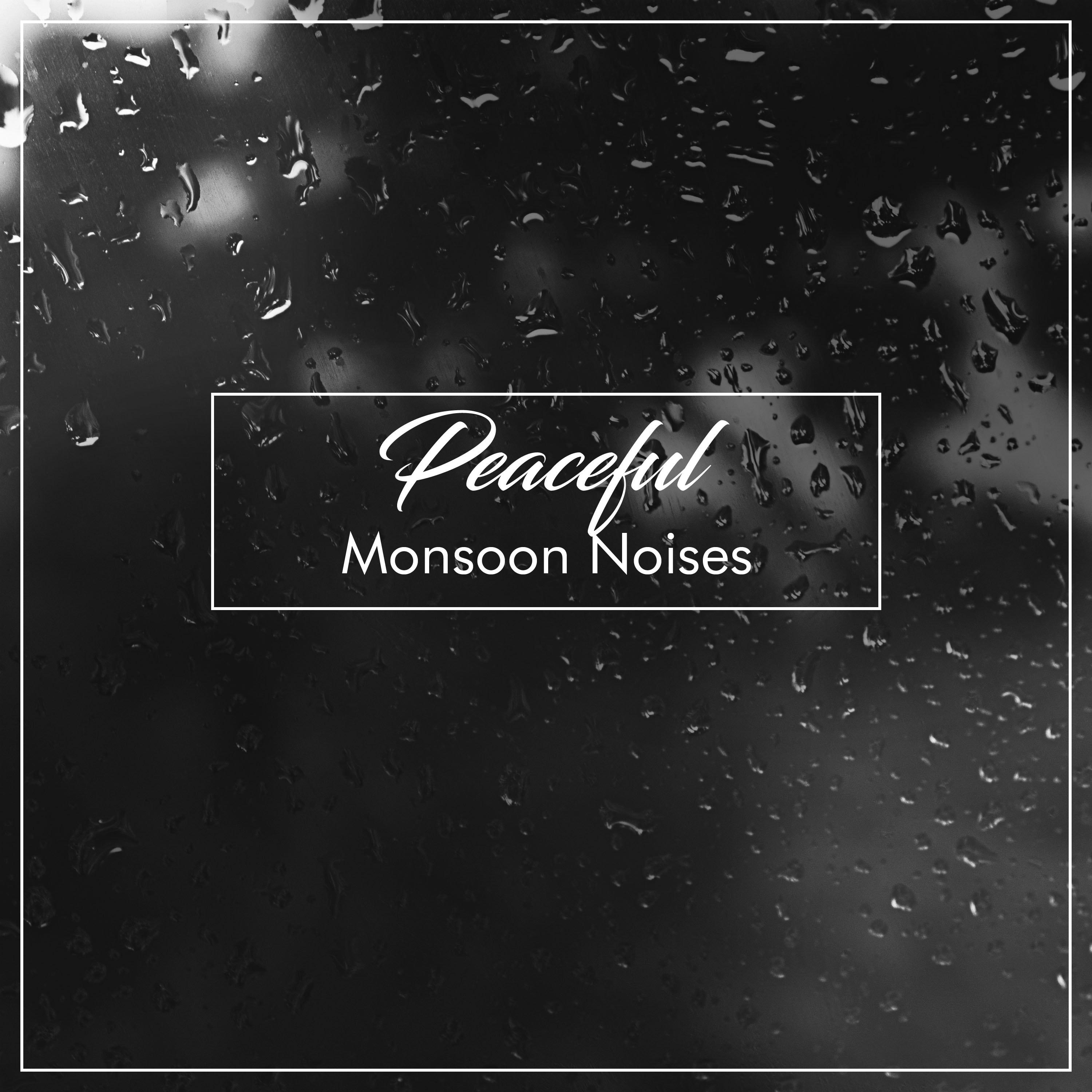 #16 Peaceful Monsoon Noises