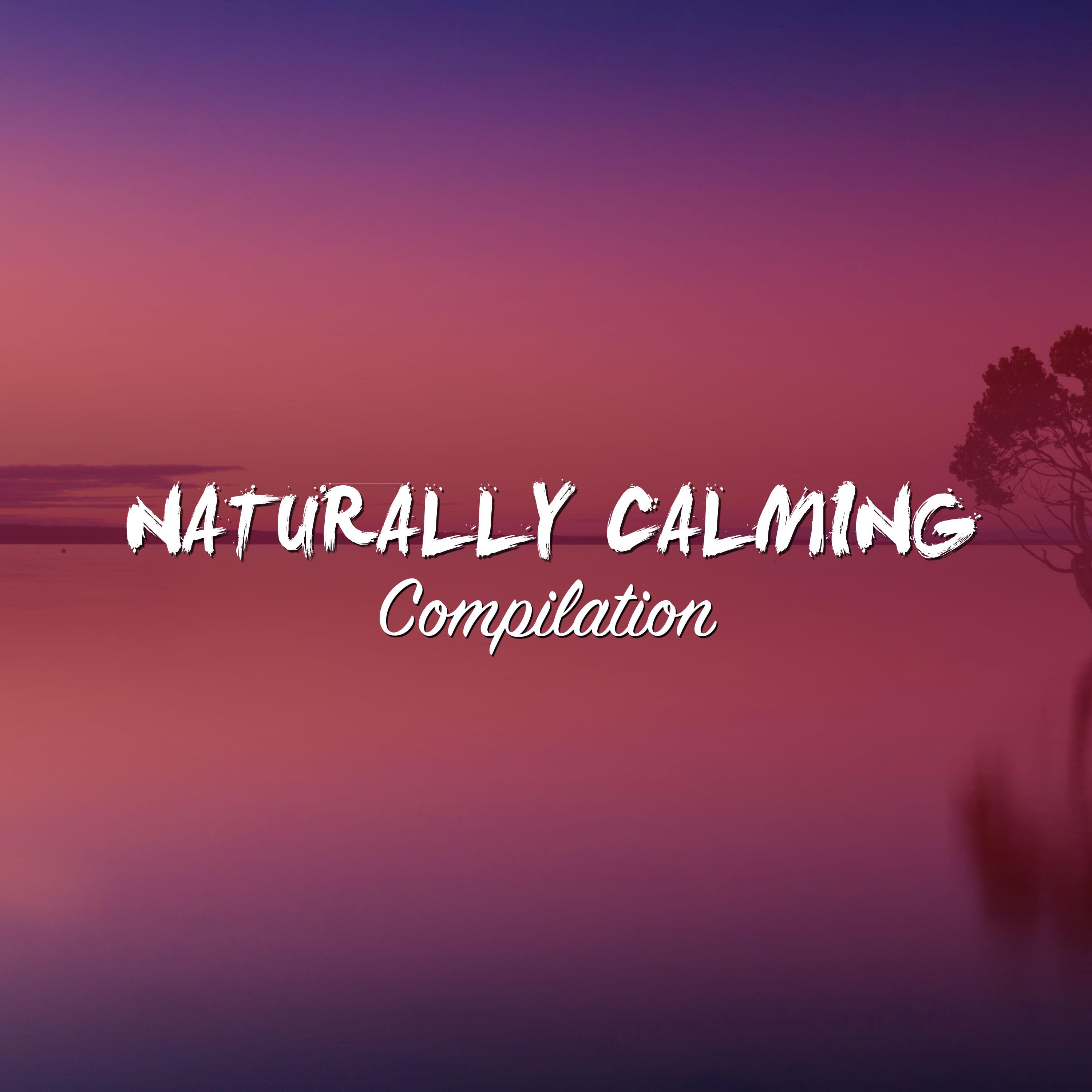 #12 Naturally Calming Compilation for Yoga