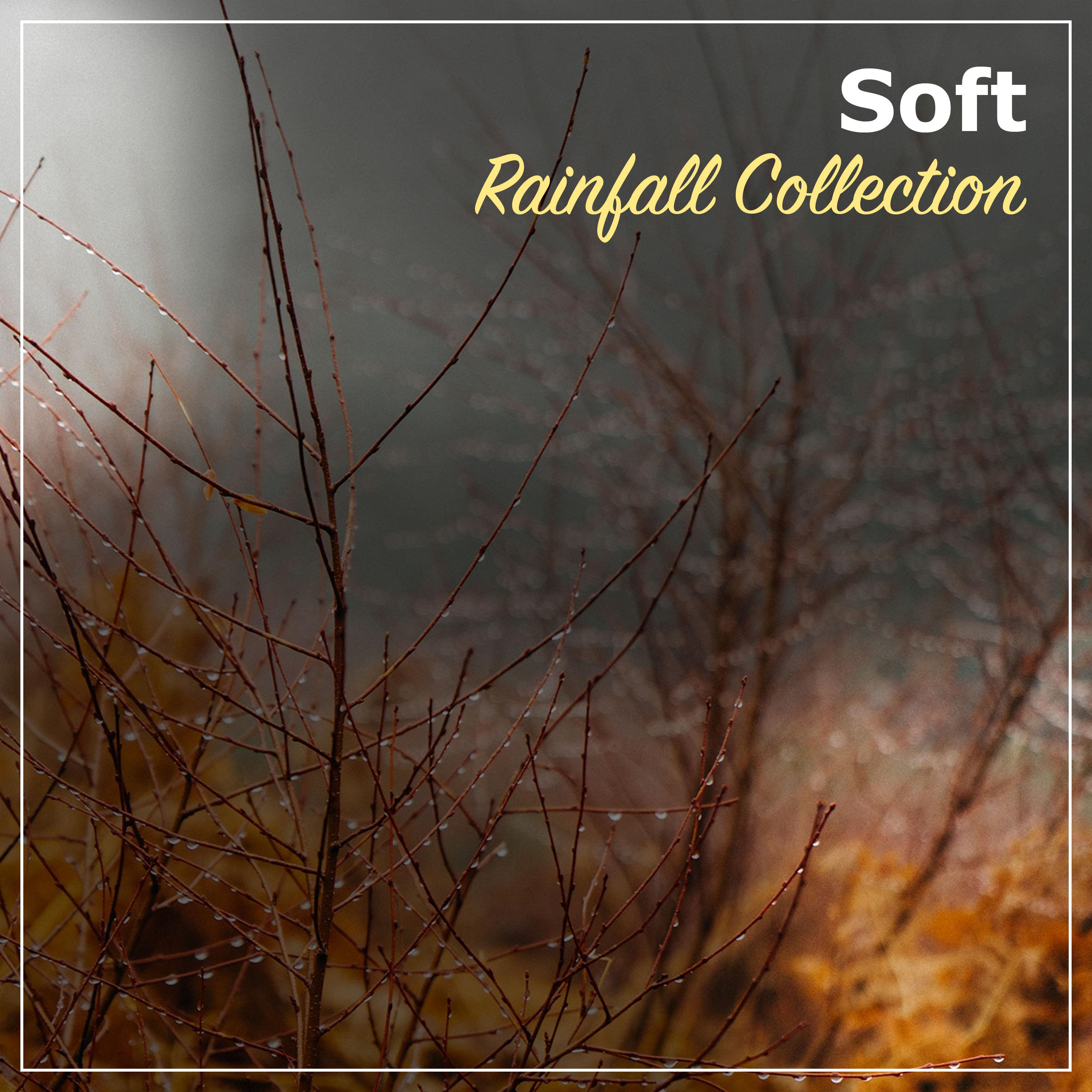 #21 Soft Rainfall Collection