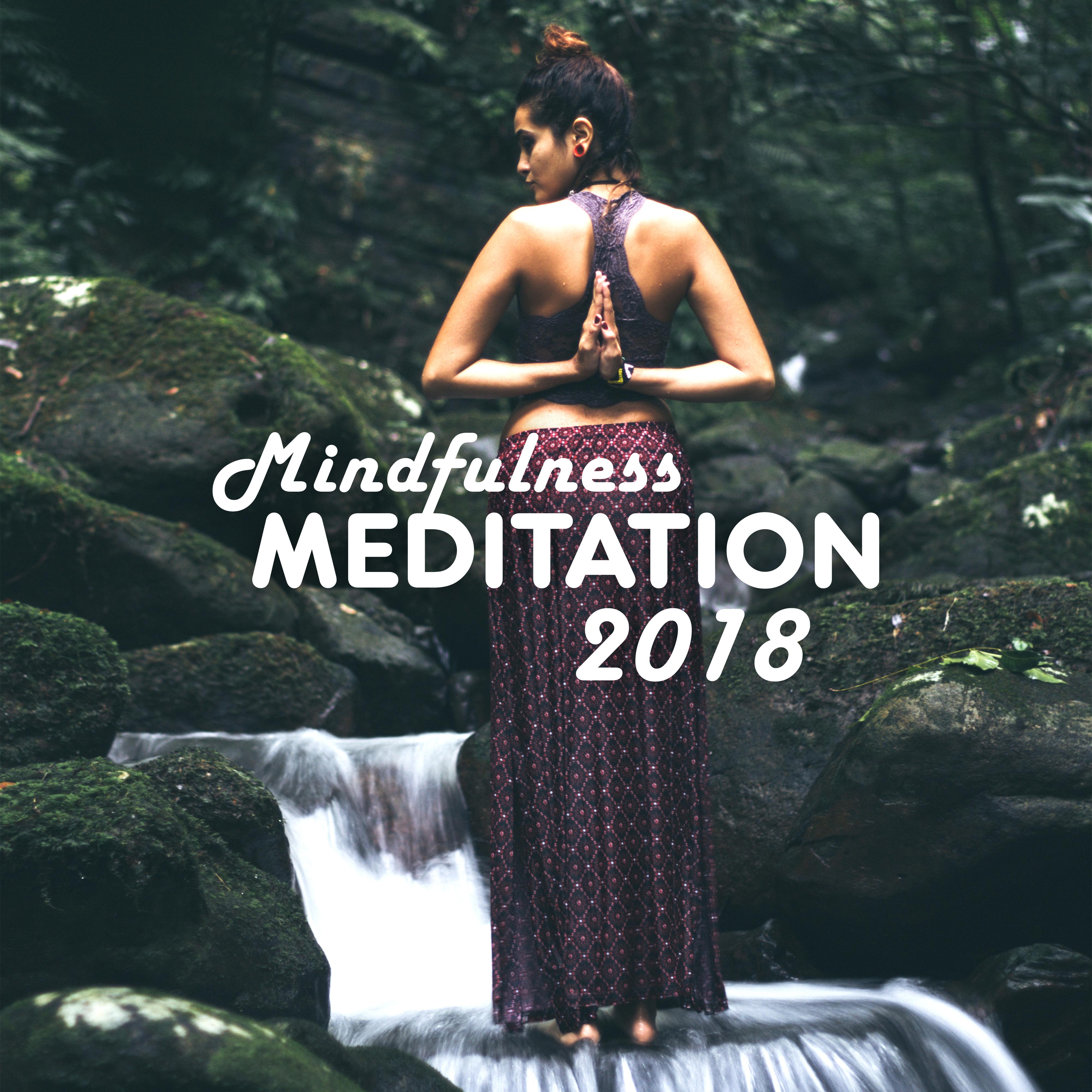 Mindfulness Meditation 2018