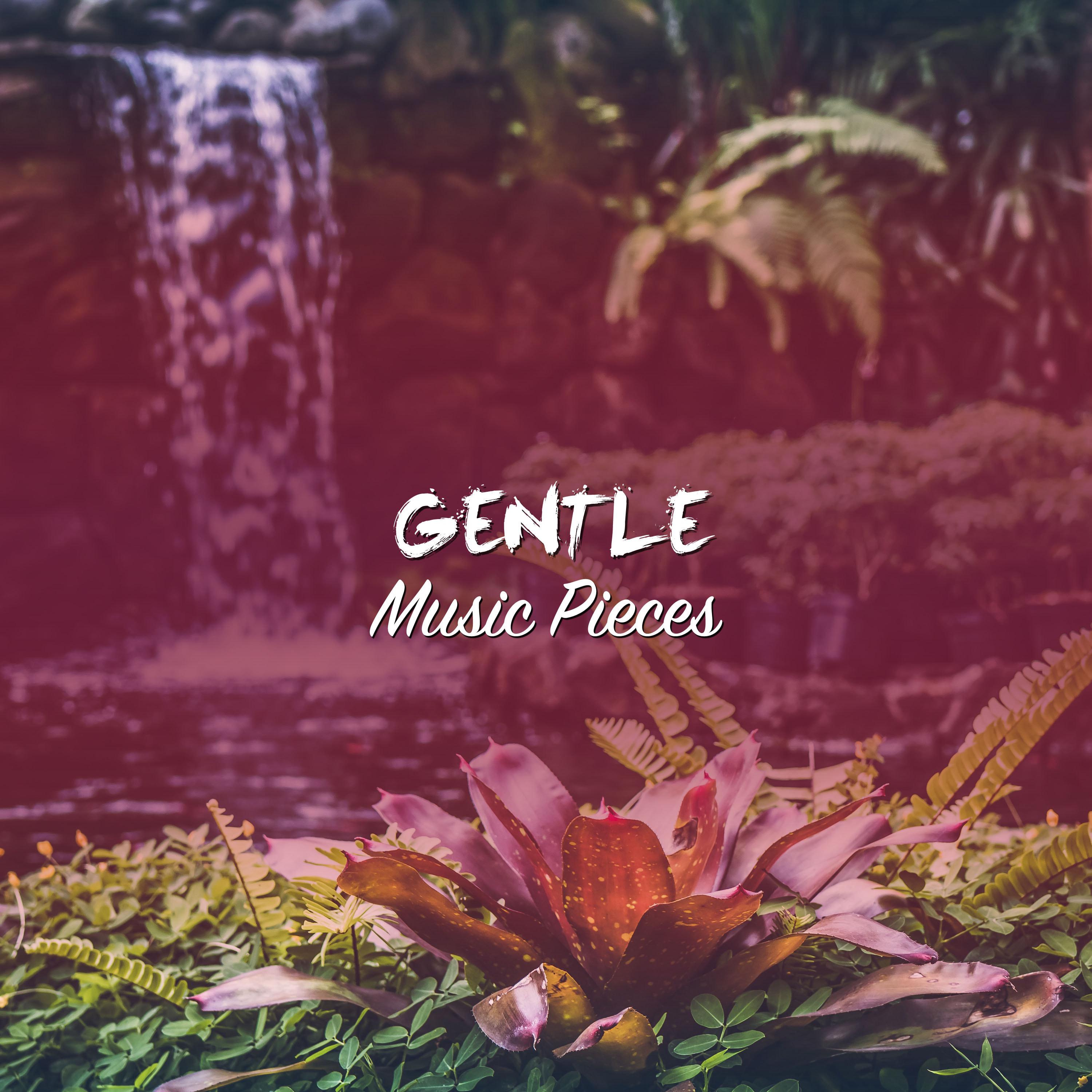 #5 Gentle Music Pieces for Zen Relaxation & Meditation