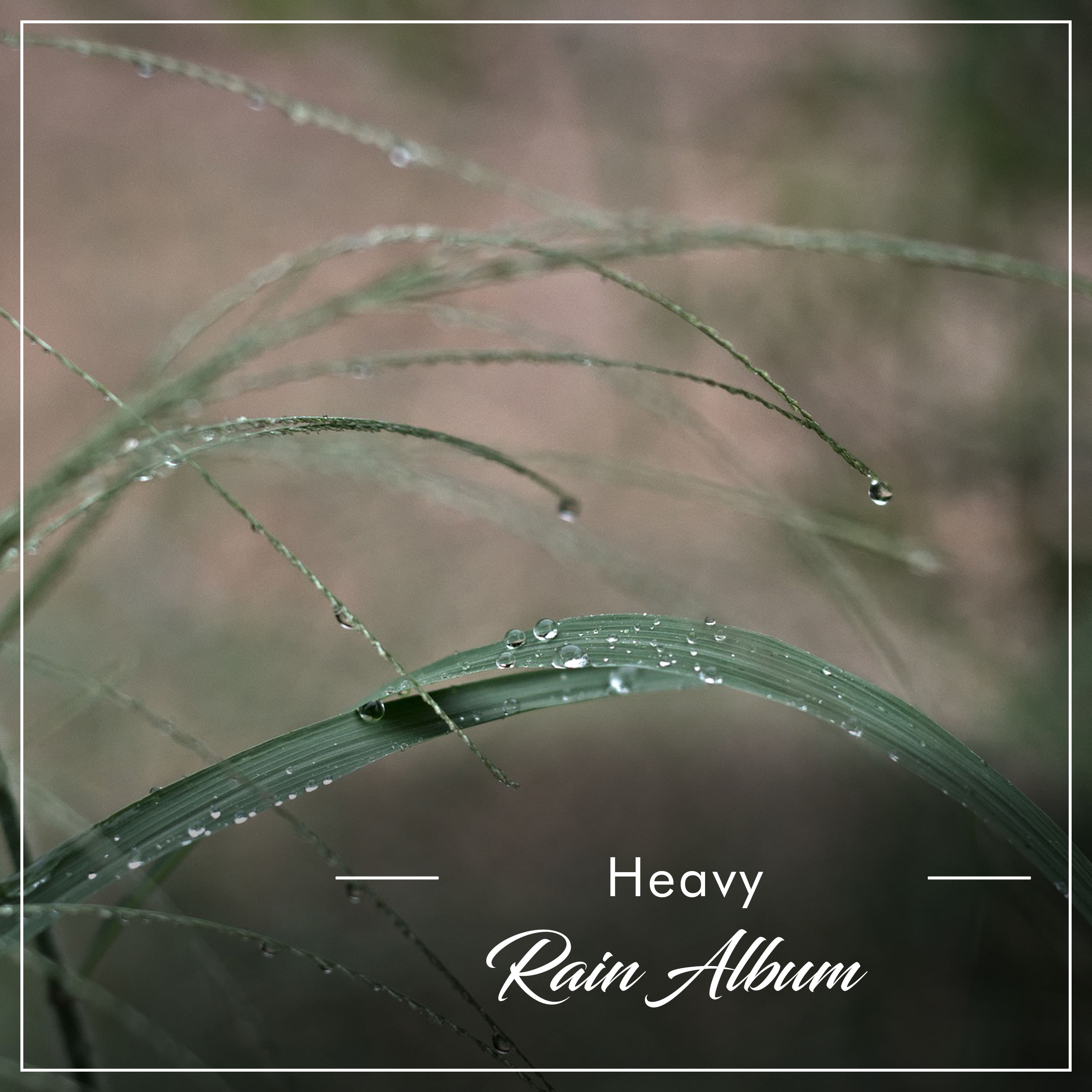 #18 Heavy Rain Album
