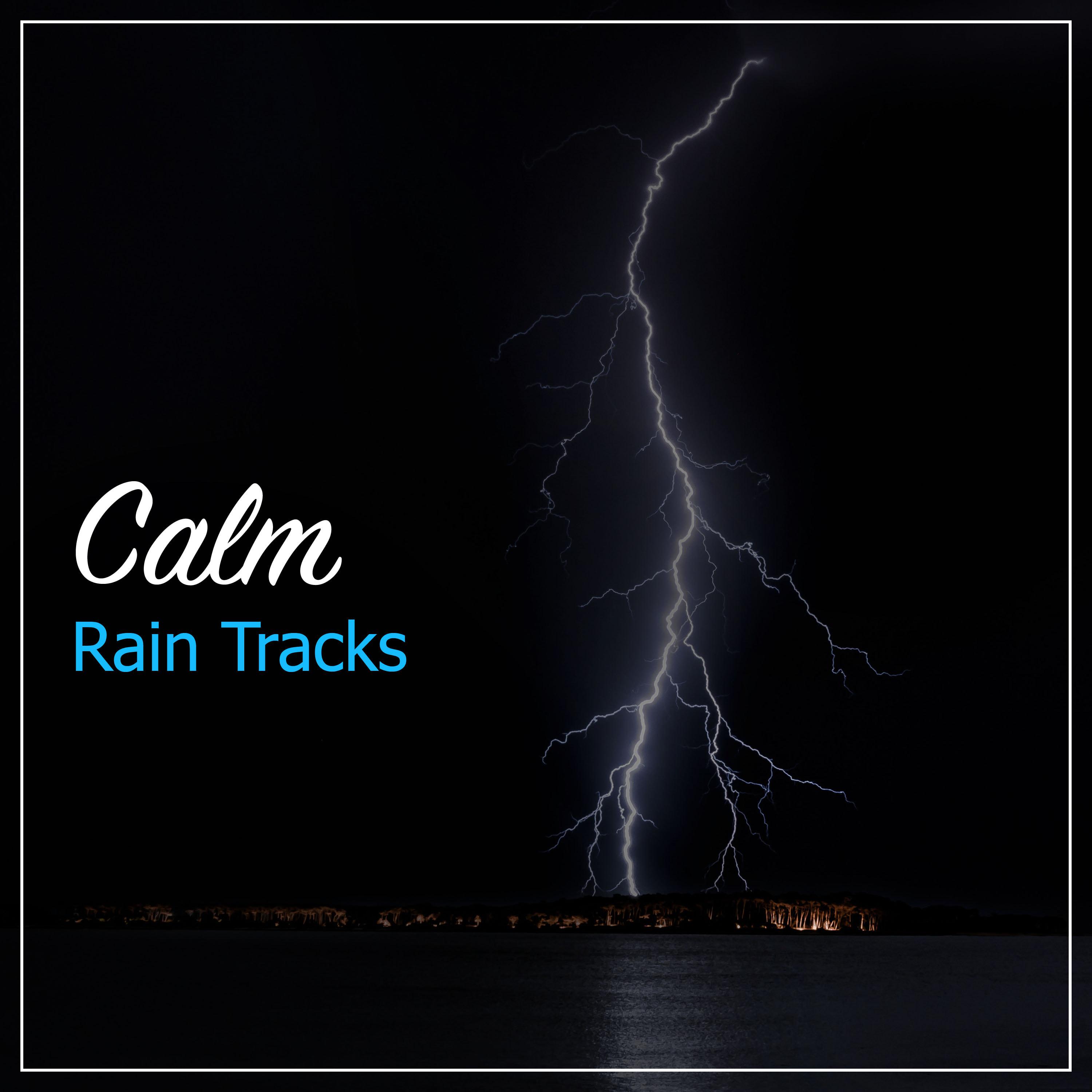 #16 Calm Rain Tracks for Sleep