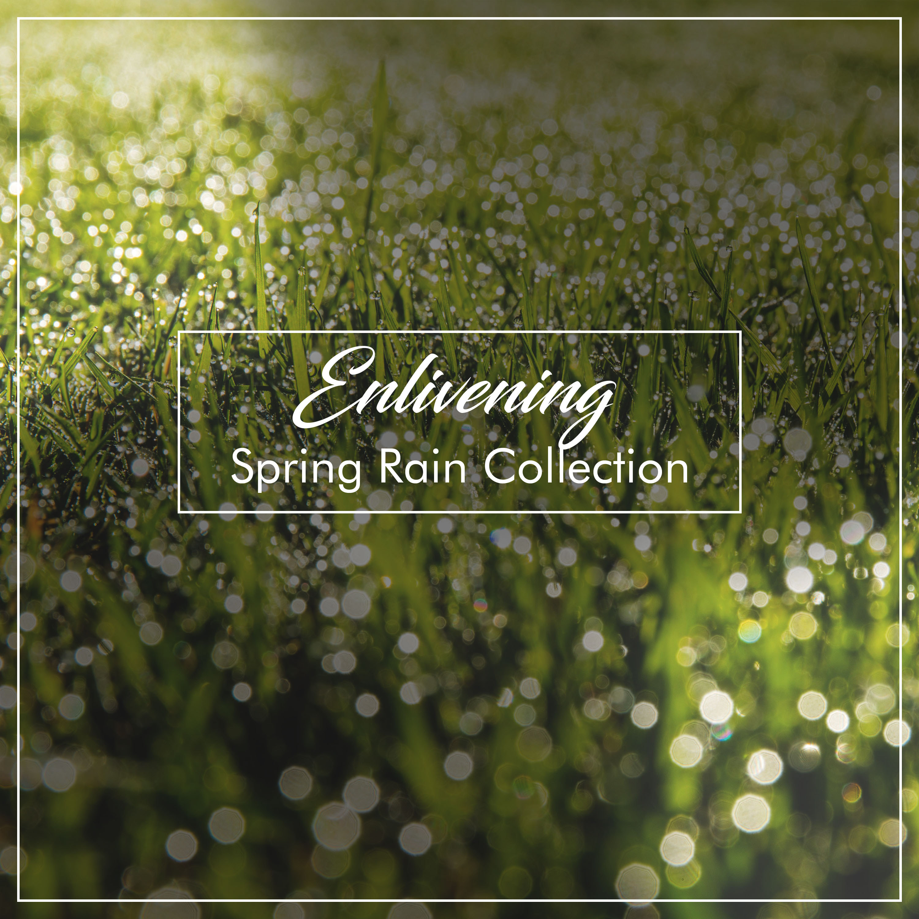 #20 Enlivening Spring Rain Collection