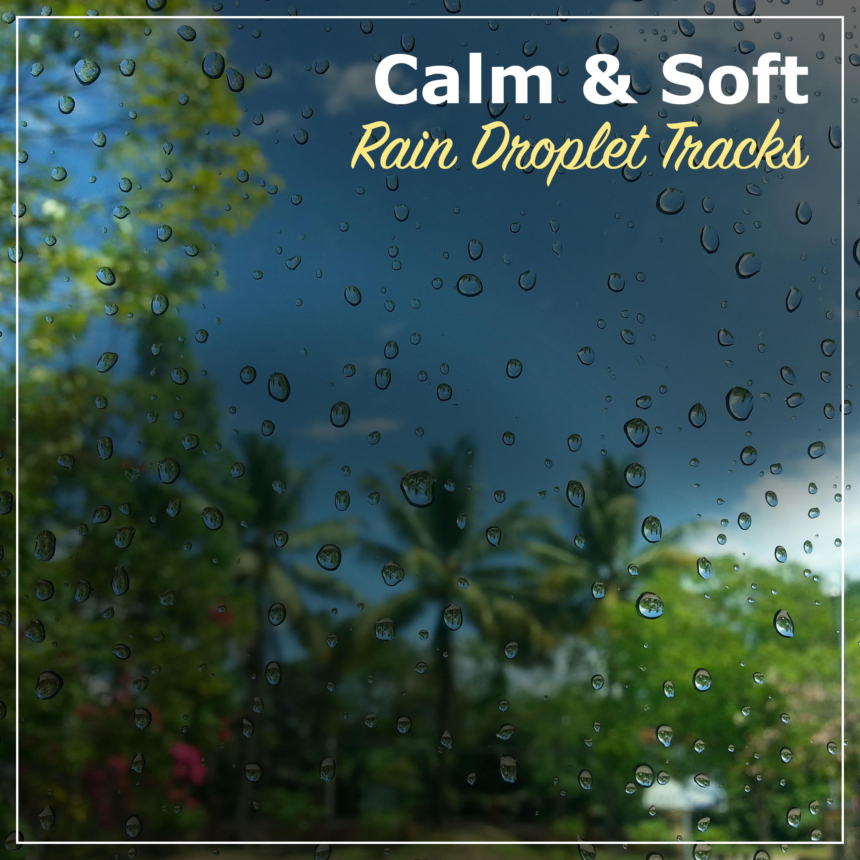 #14 Calm & Soft Rain Droplet Tracks