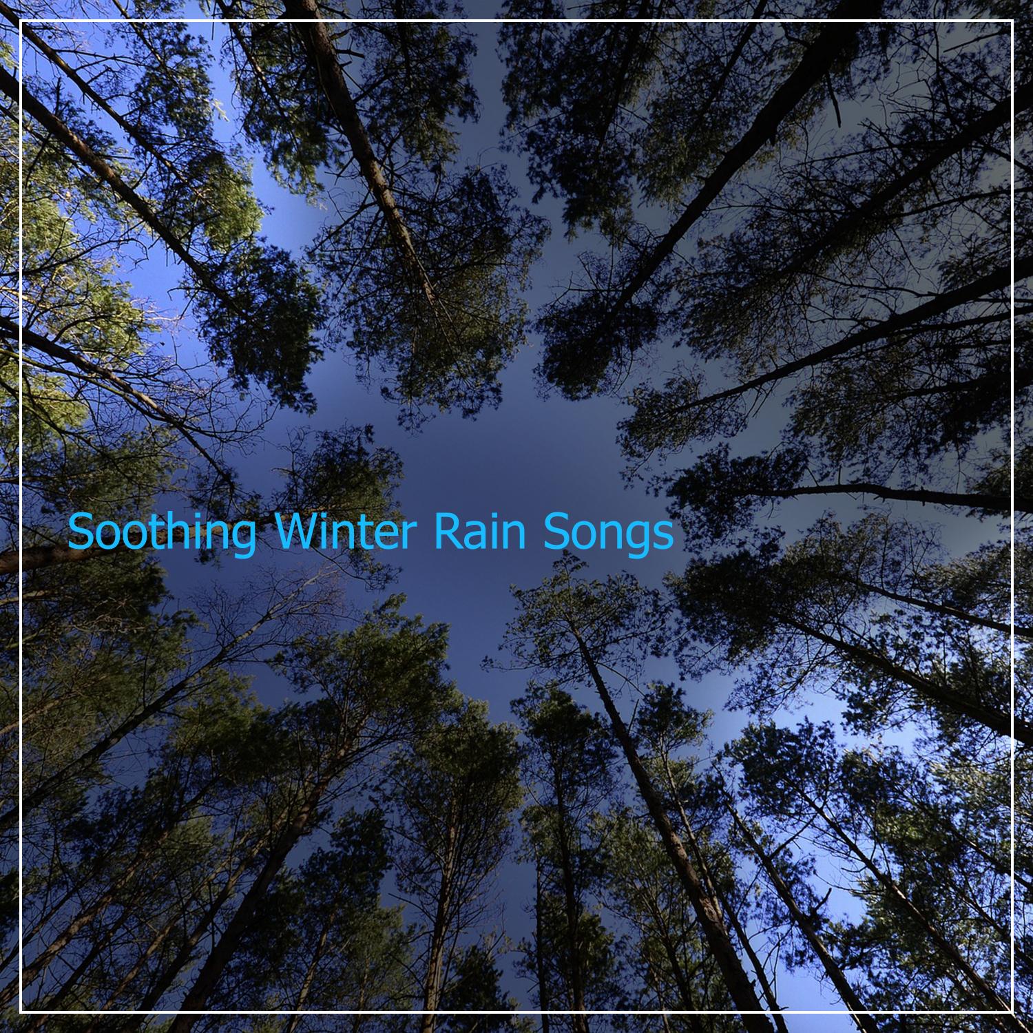 #1 Hour of Soothing Winter Rain Songs