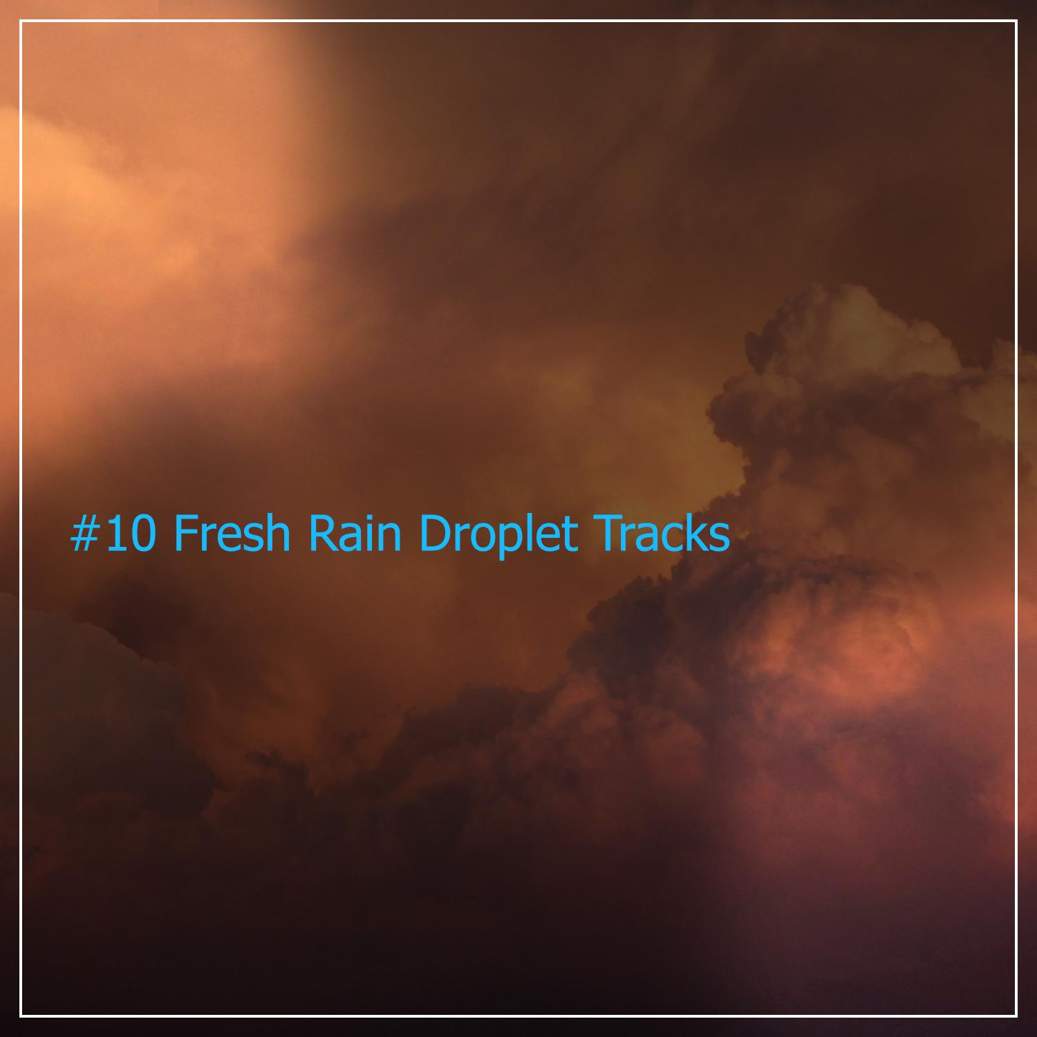 #10 Fresh Rain Droplet Tracks