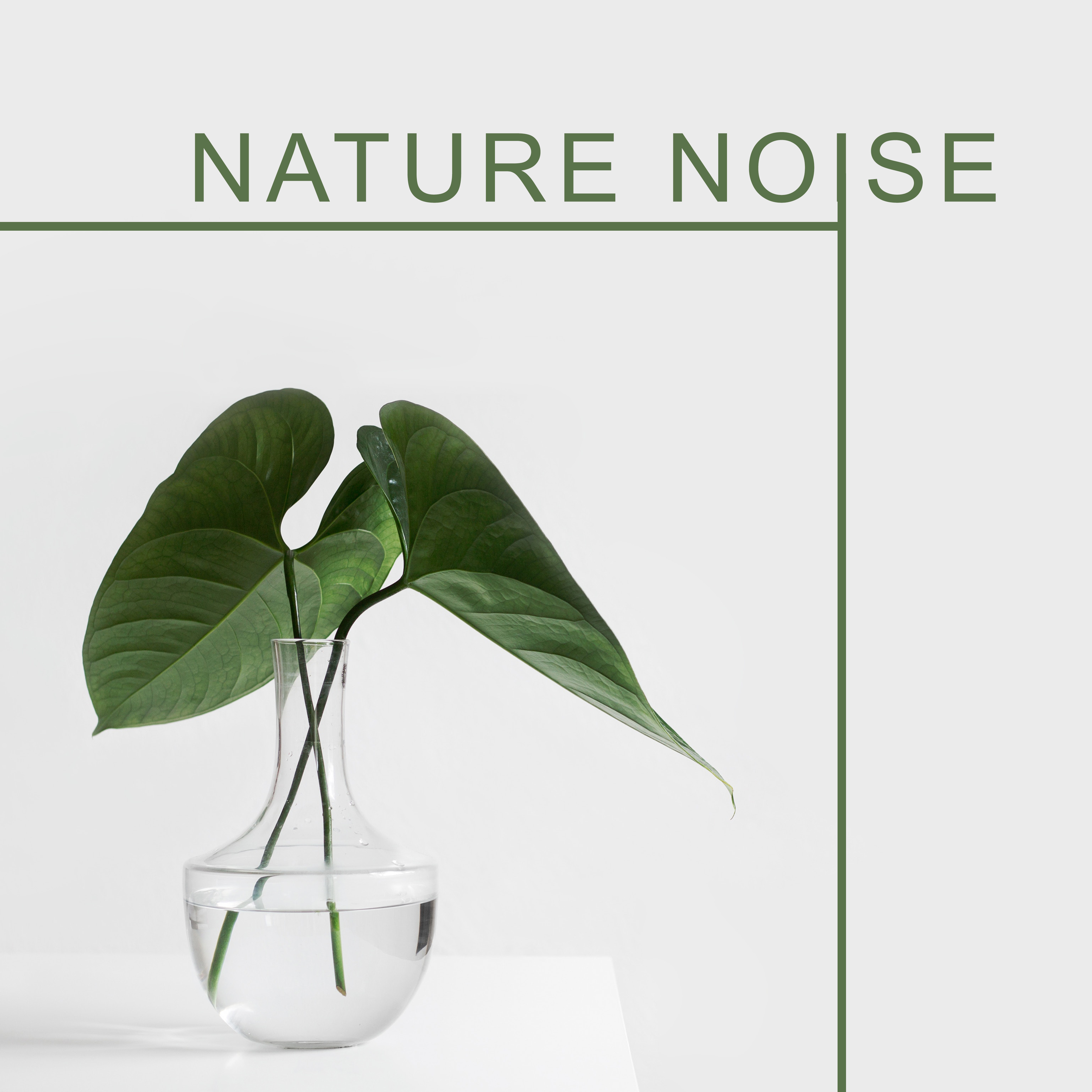 Nature Noise