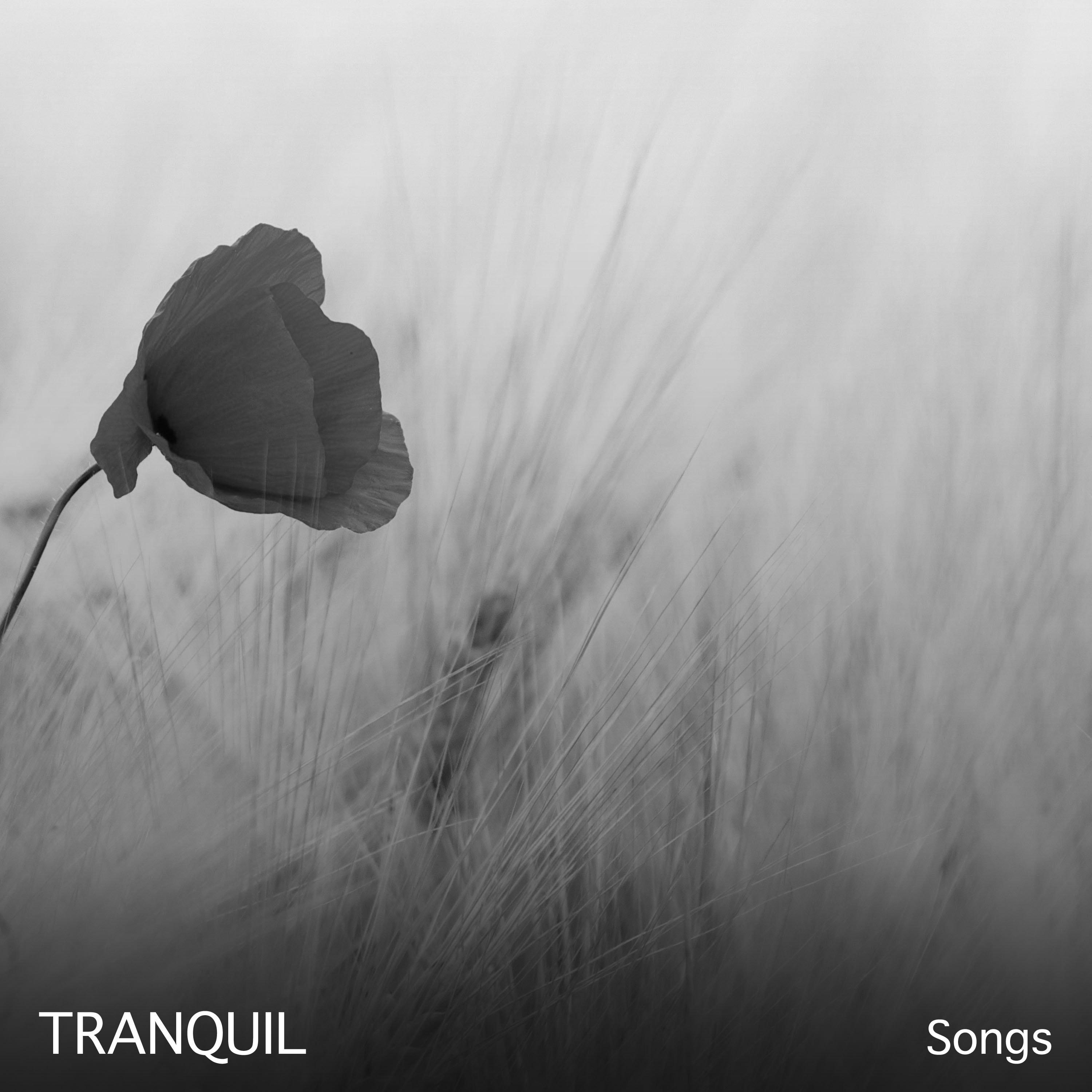 #18 Tranquil Songs for Zen Spa